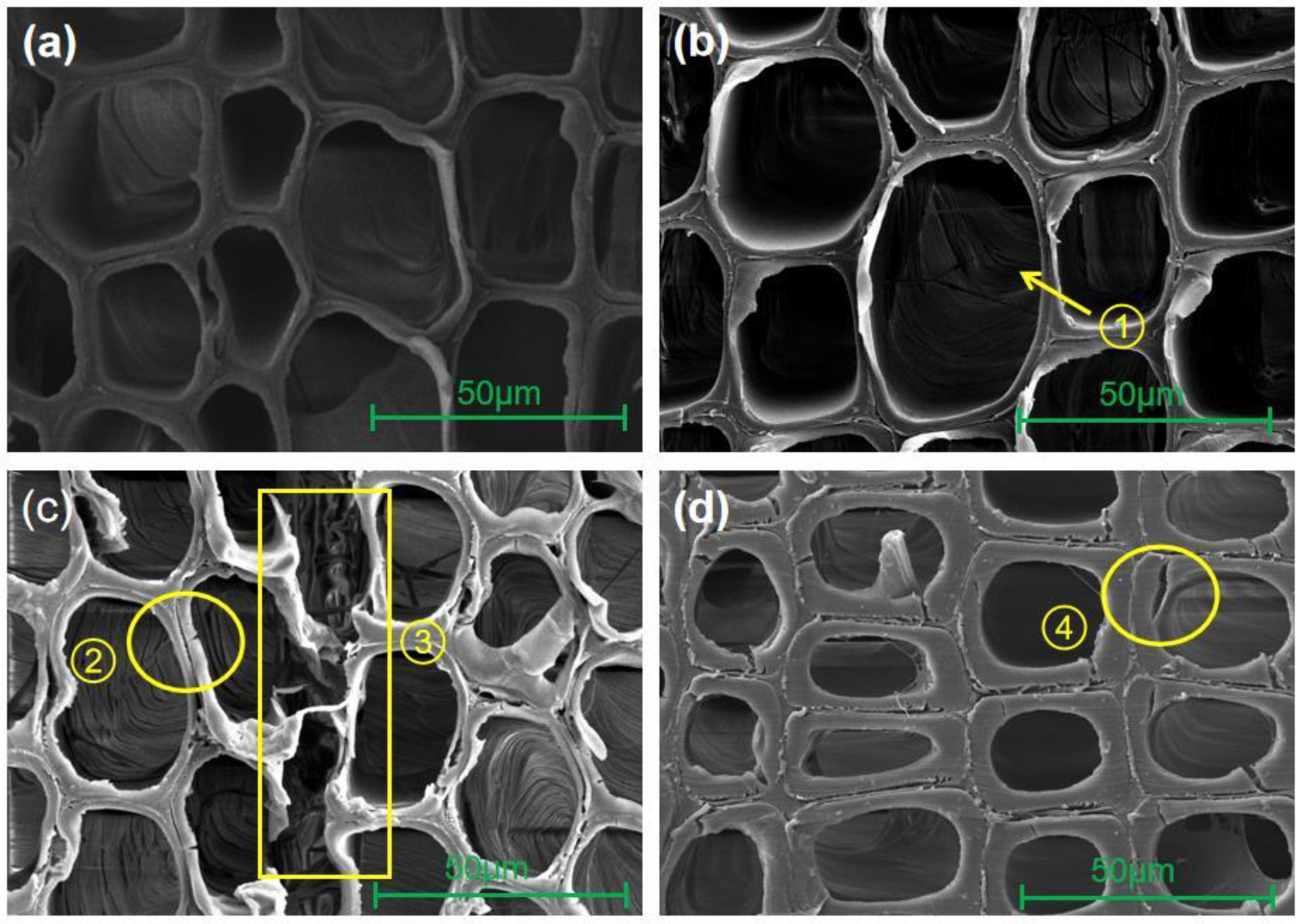 Forests 14 01040 g003 Forests 14 01040 g003