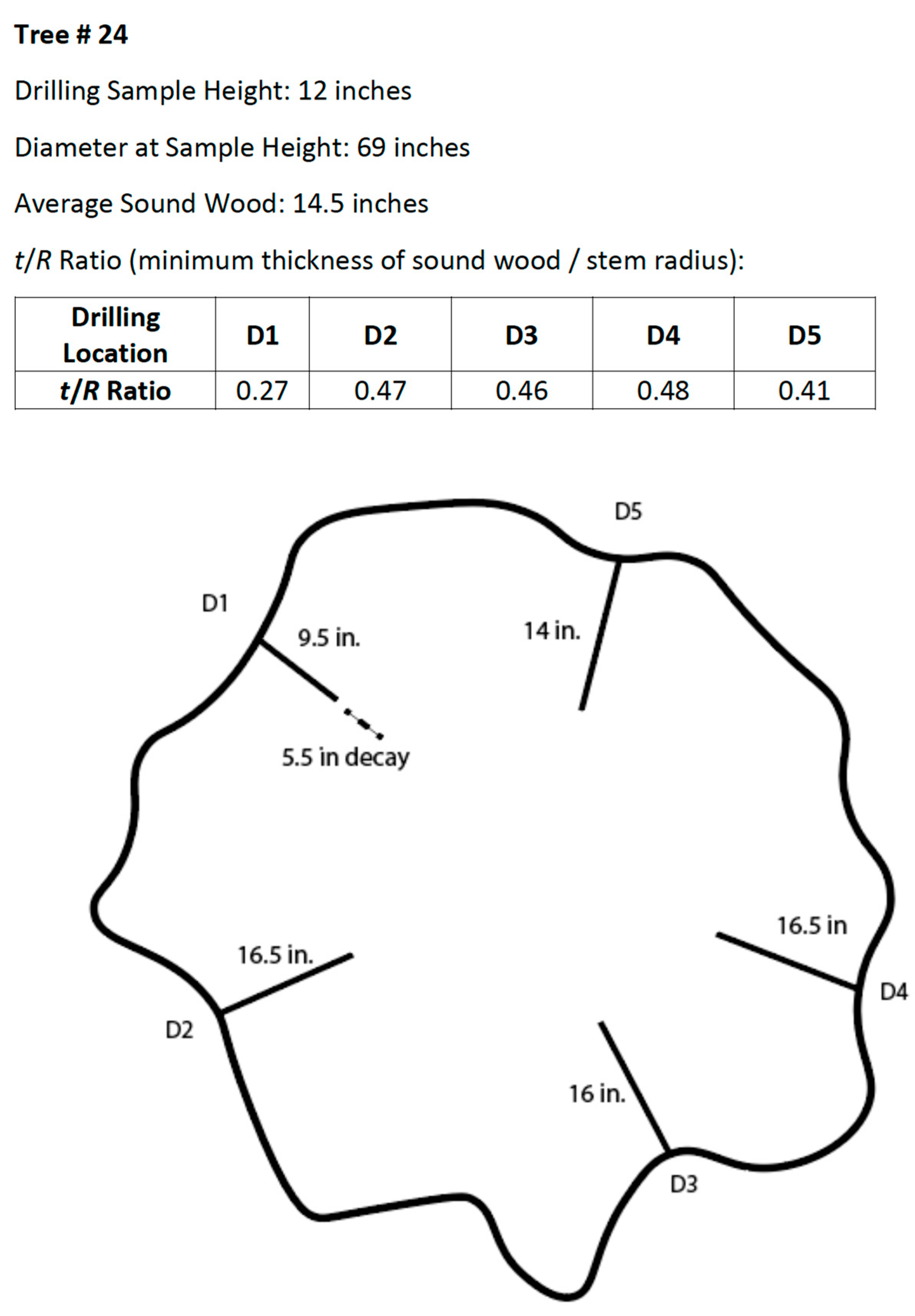 Forests 14 01043 g002