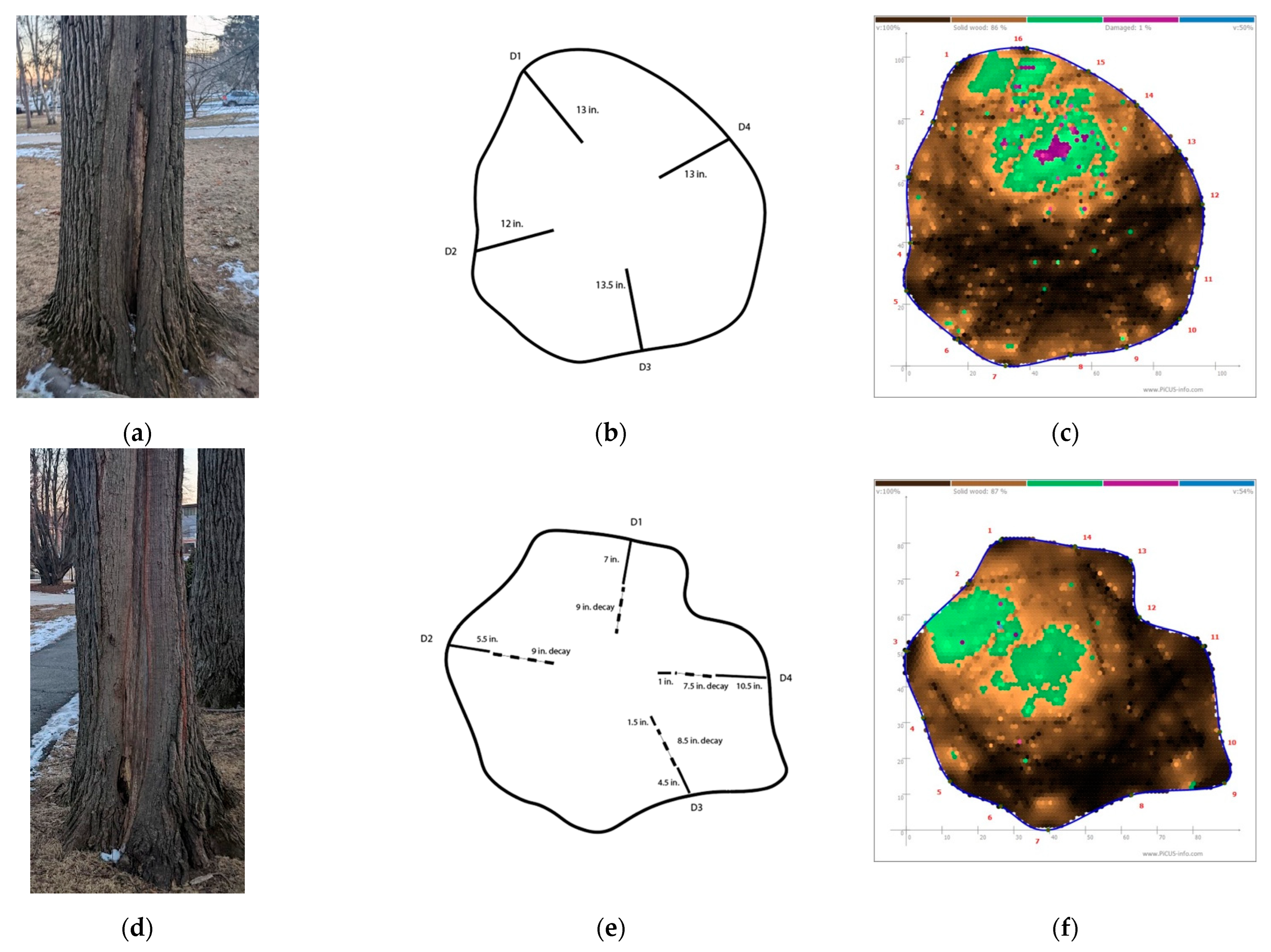 Forests 14 01043 g009
