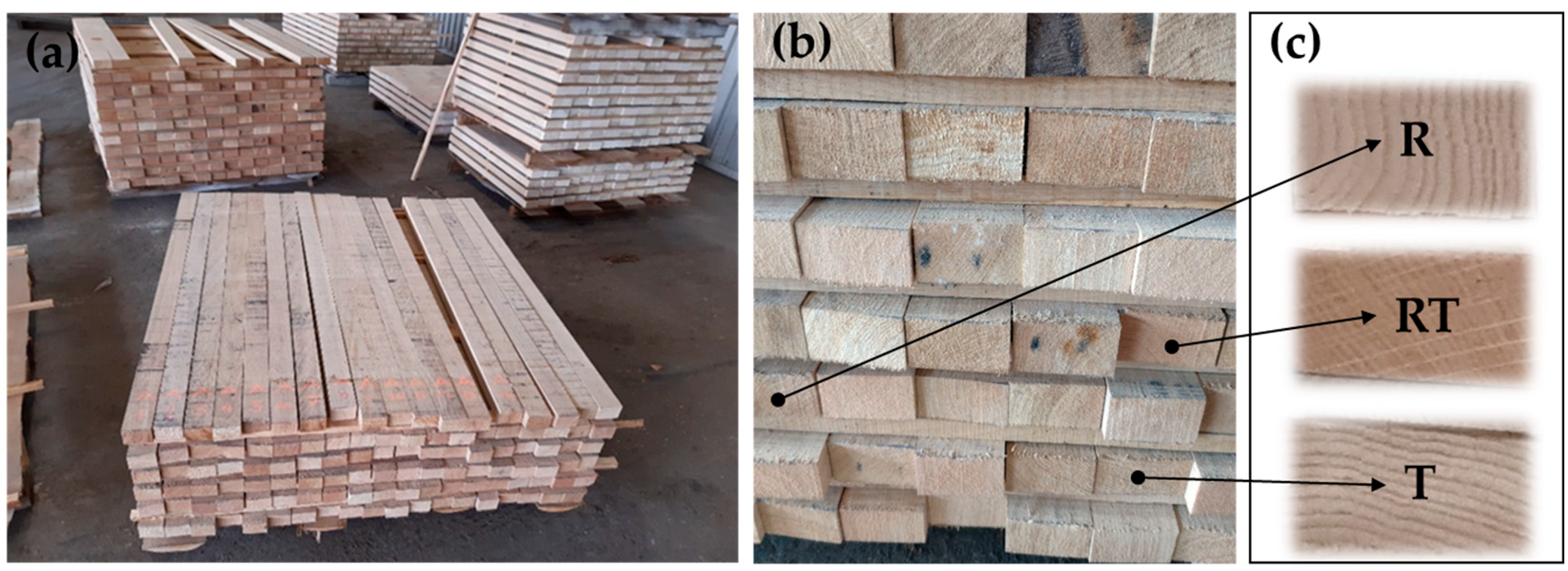 Forests 14 01047 g001 Forests 14 01047 g001