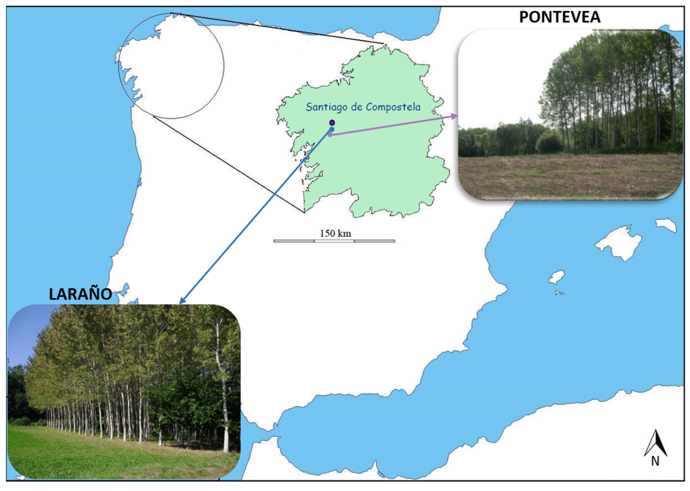 Forests 14 01048 g001 Forests 14 01048 g001