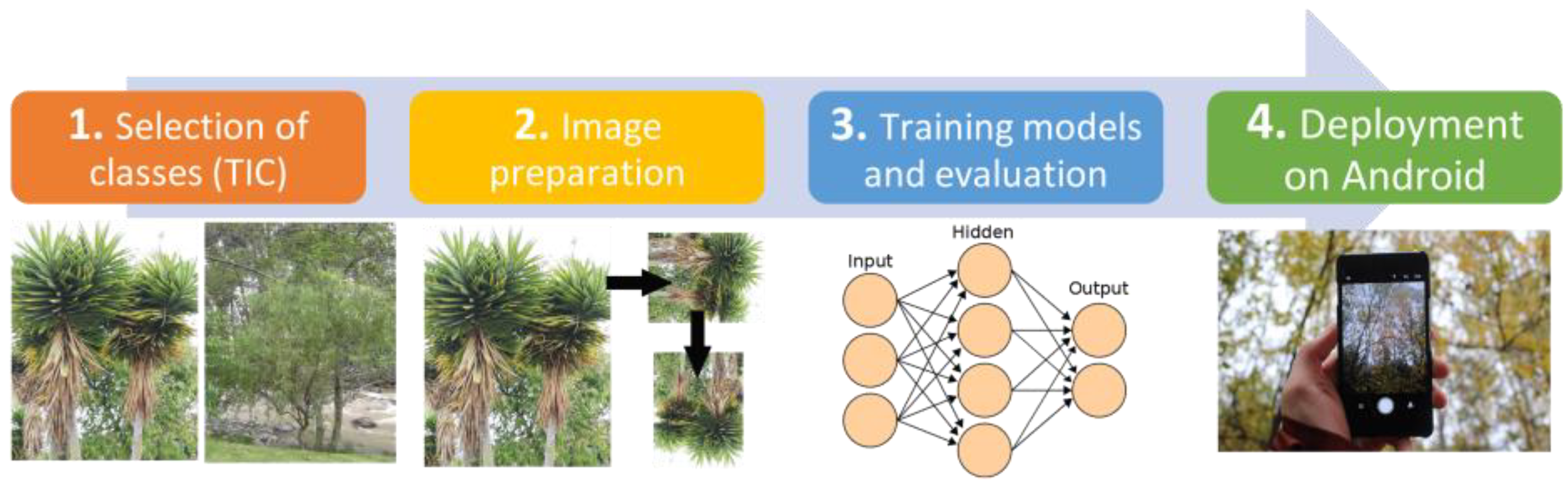 Forests 14 01050 g002