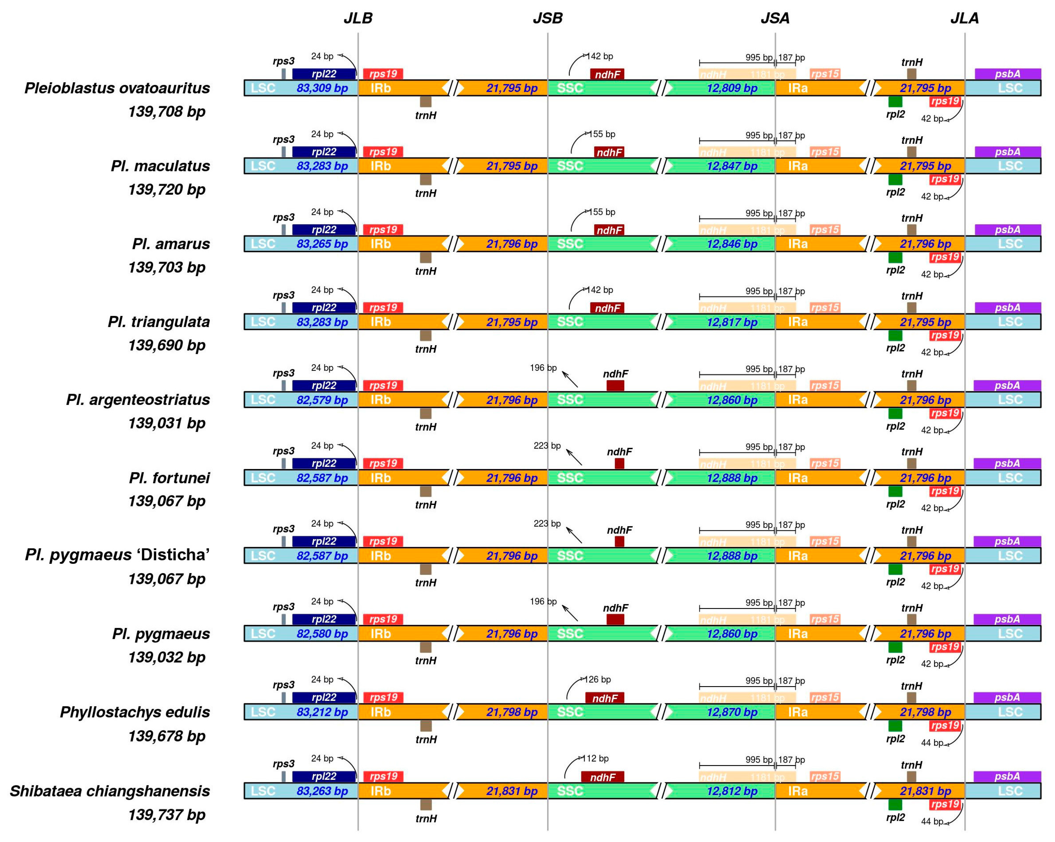 Forests 14 01051 g003 Forests 14 01051 g003