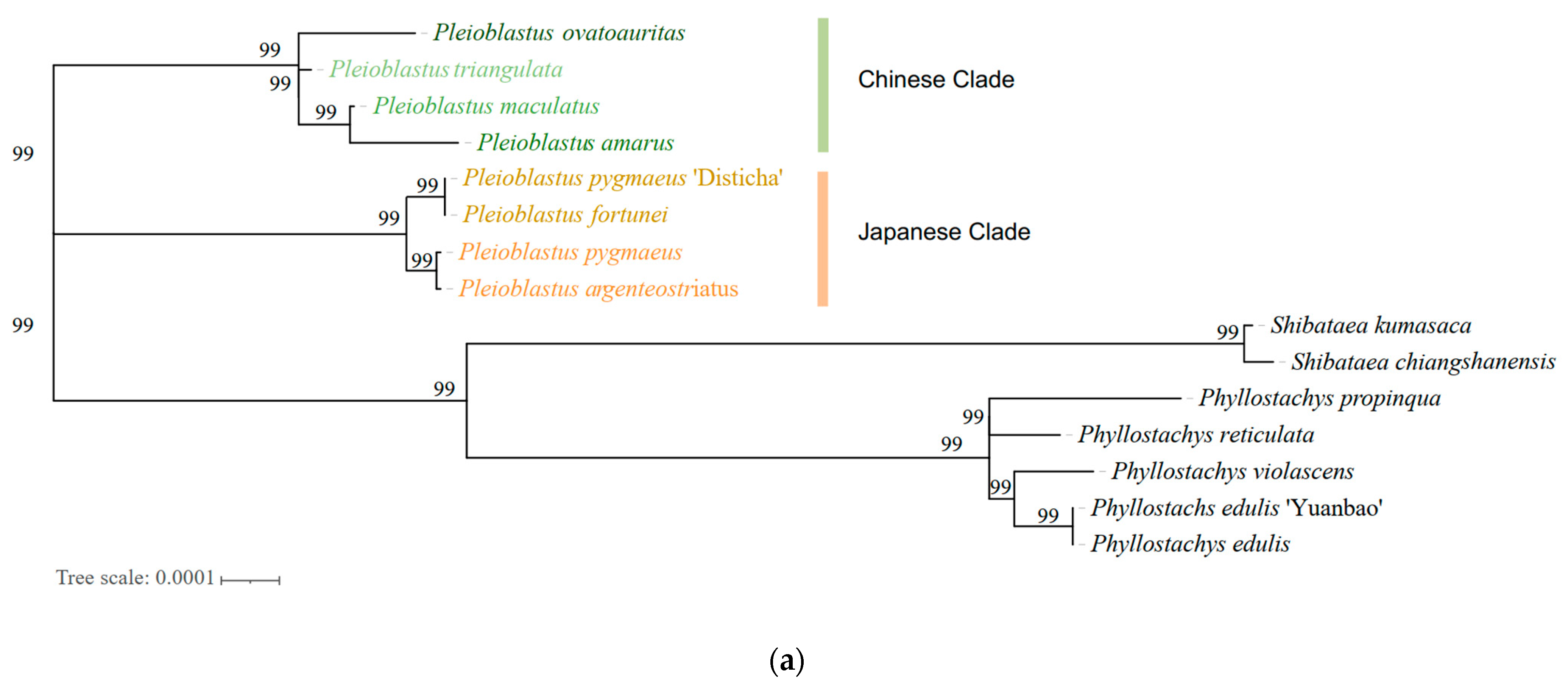 Forests 14 01051 g006a Forests 14 01051 g006a