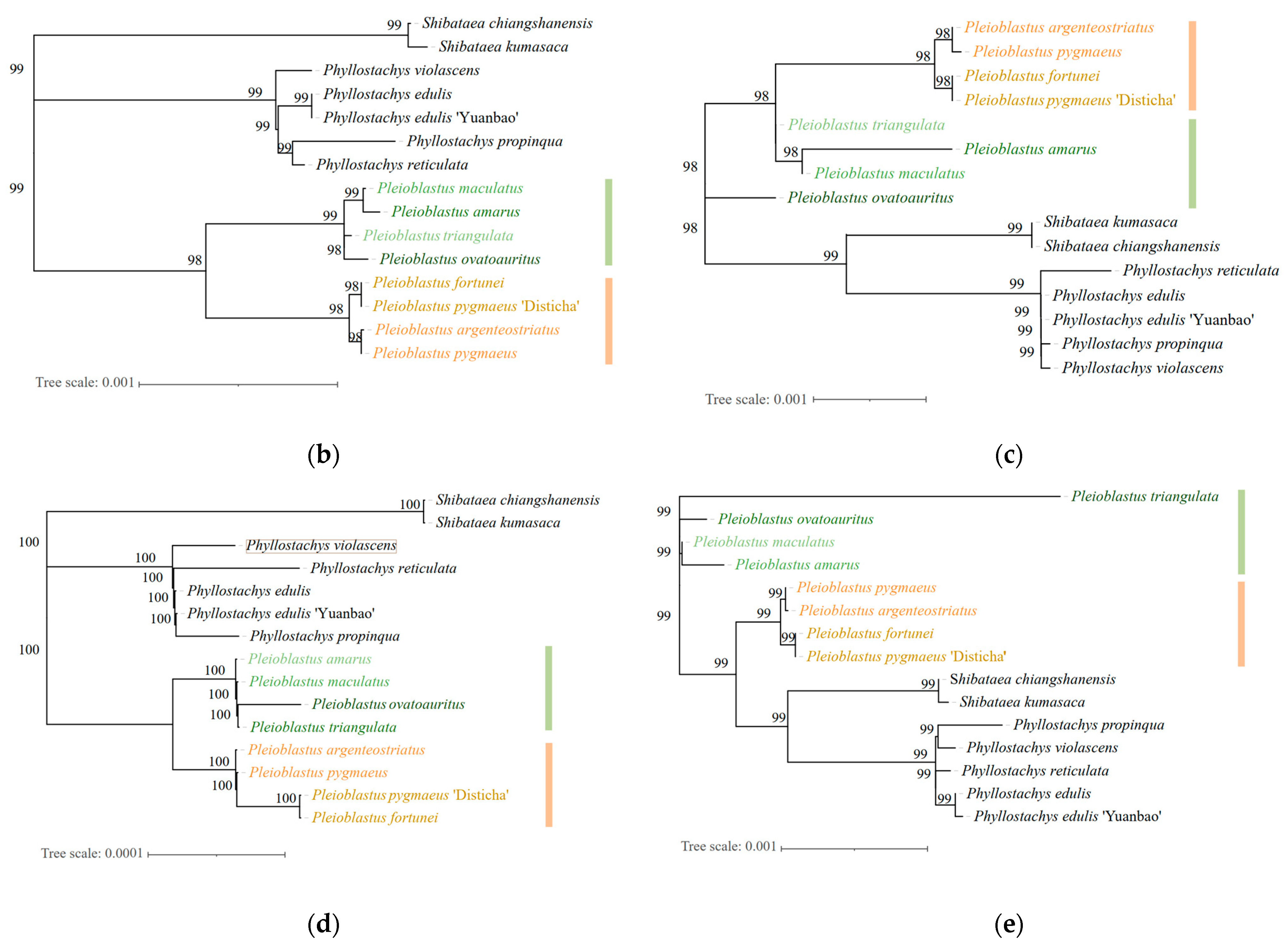 Forests 14 01051 g006b Forests 14 01051 g006b