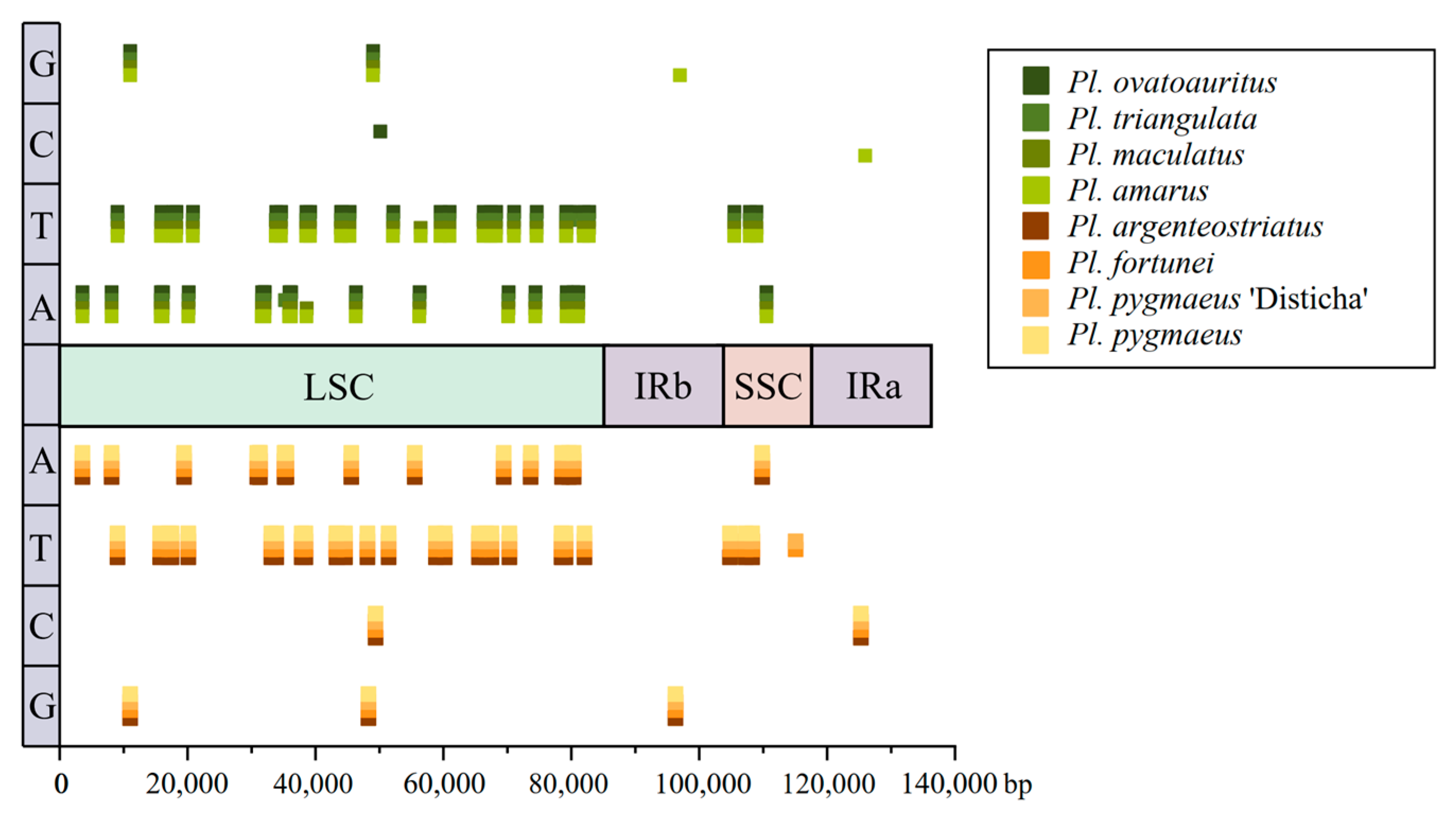 Forests 14 01051 g007 Forests 14 01051 g007