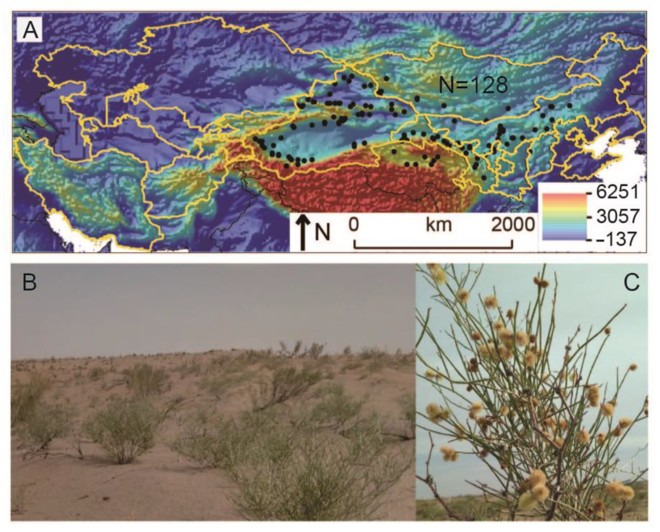 Forests 14 01053 g001 Forests 14 01053 g001