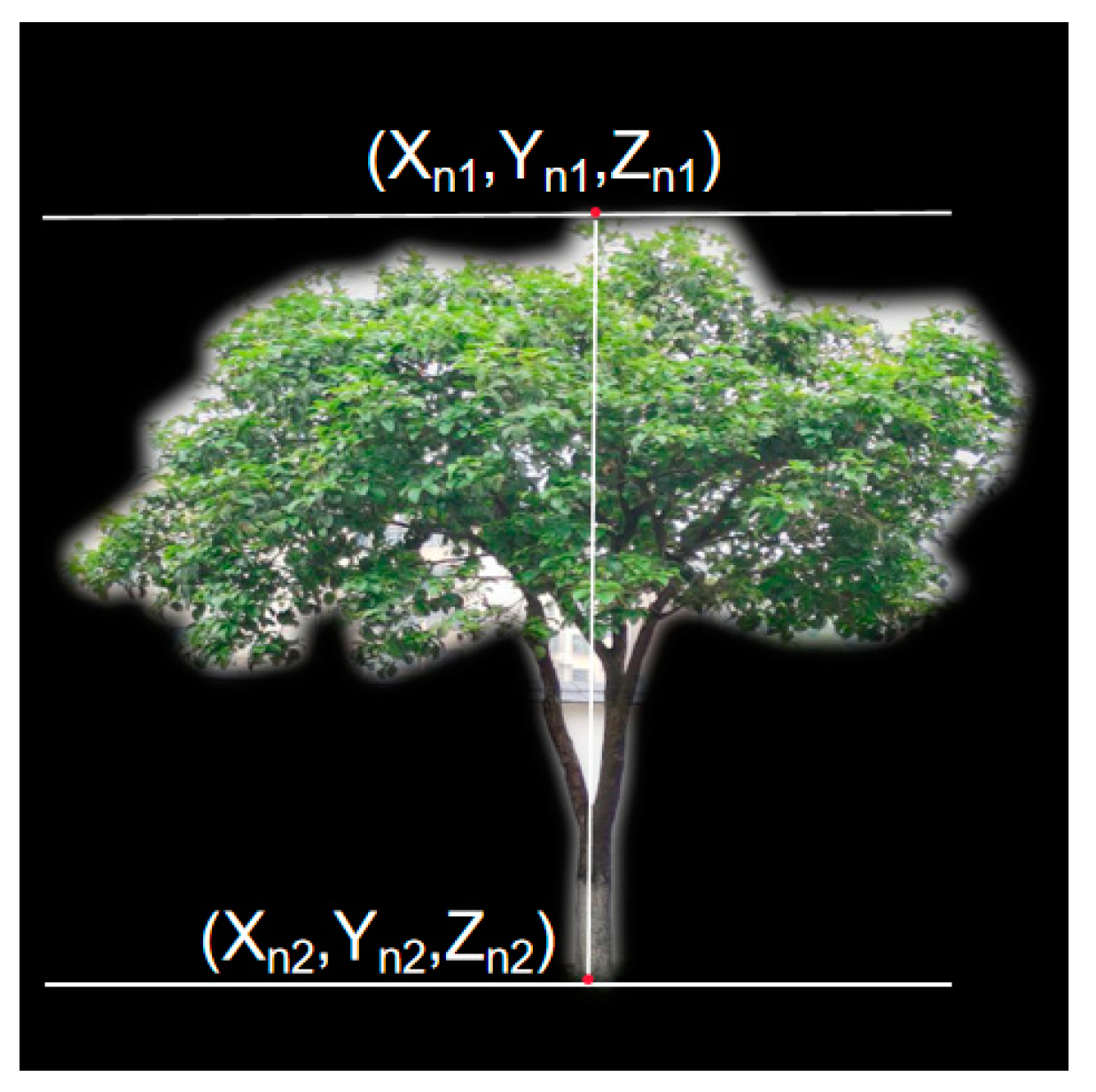 Forests 14 01054 g007 Forests 14 01054 g007