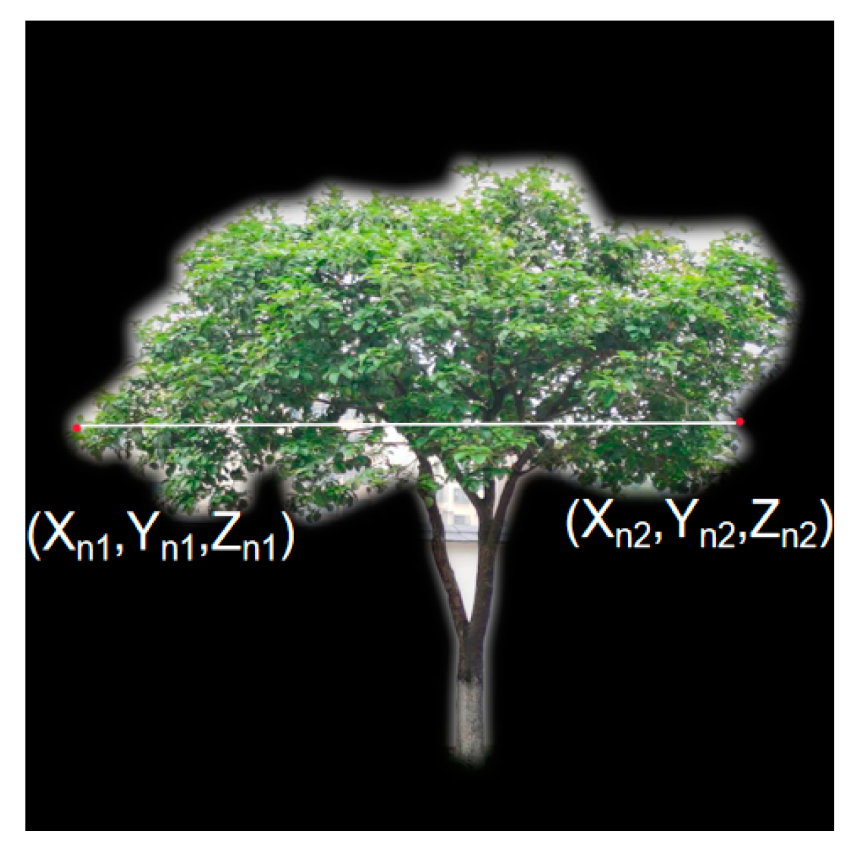 Forests 14 01054 g009 Forests 14 01054 g009