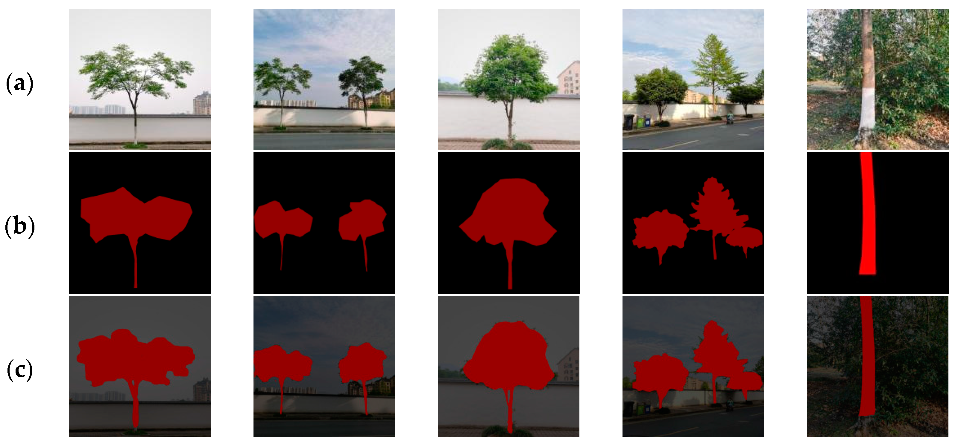 Forests 14 01054 g011 Forests 14 01054 g011