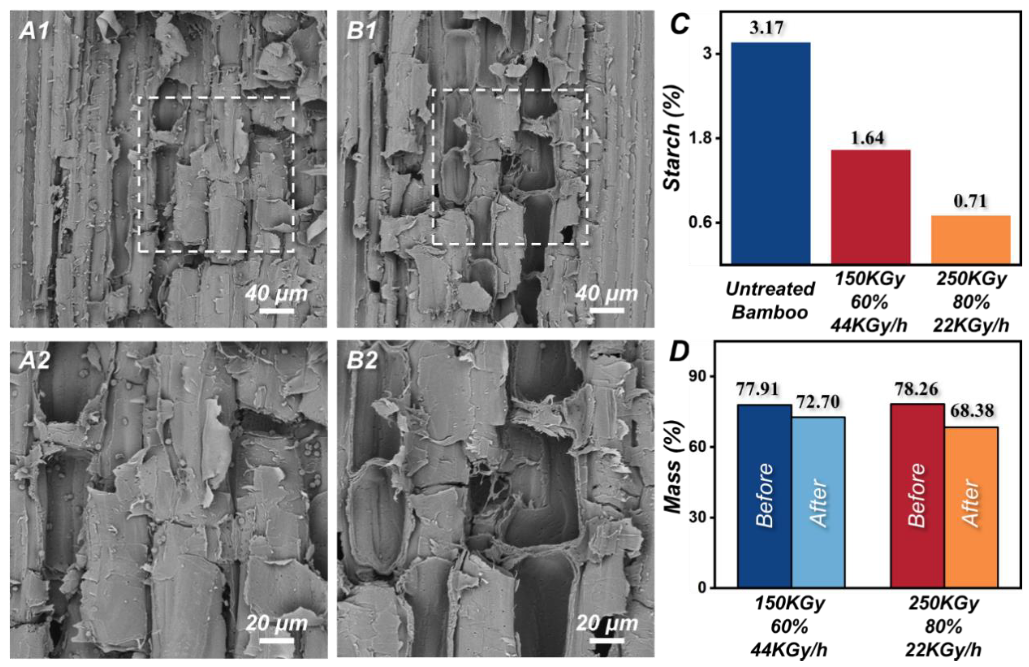 Forests 14 01055 g004 Forests 14 01055 g004
