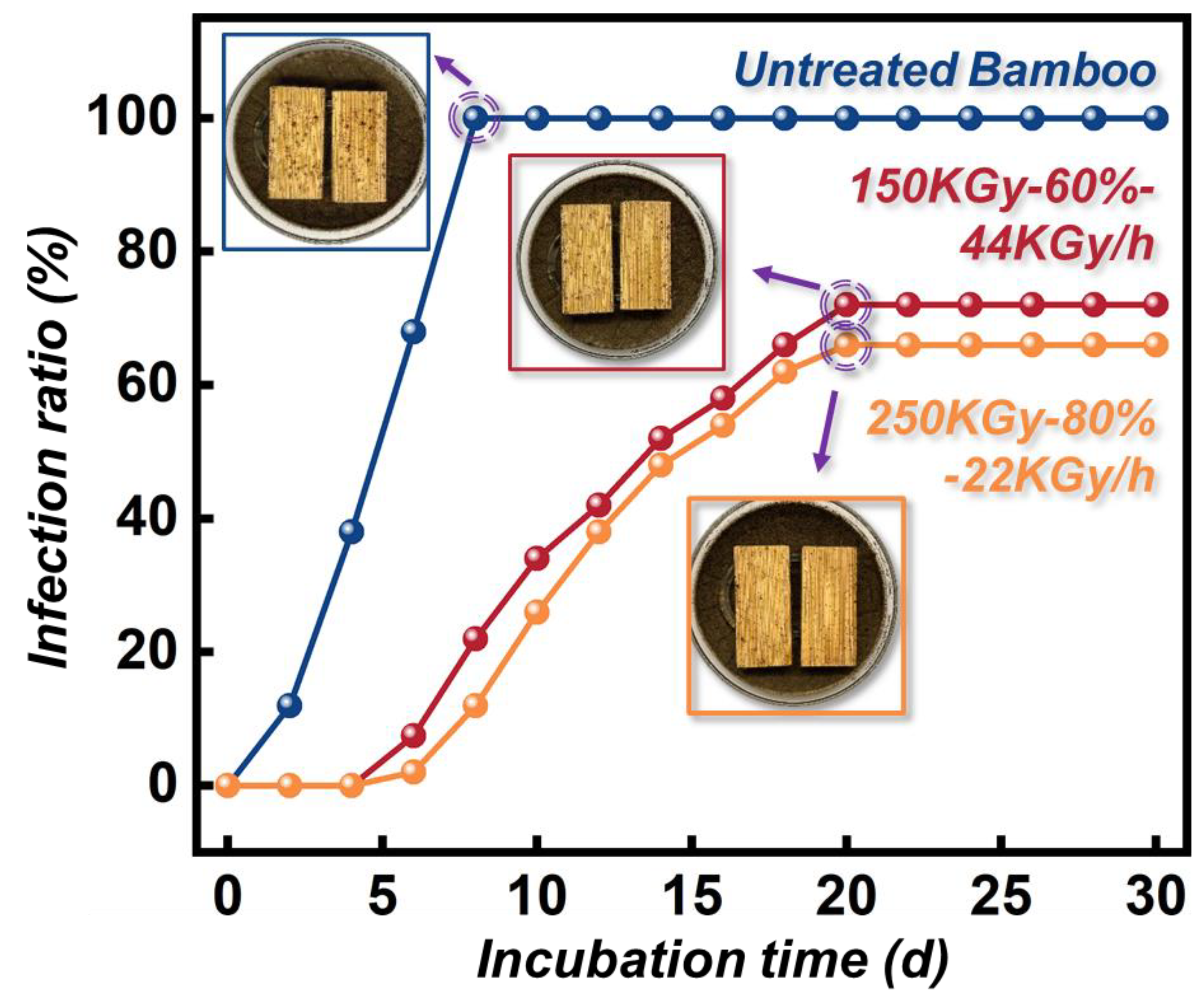Forests 14 01055 g006 Forests 14 01055 g006