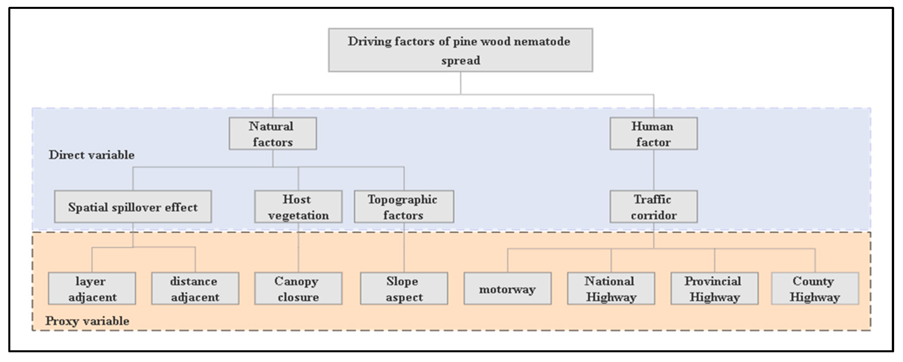 Forests 14 01059 g002