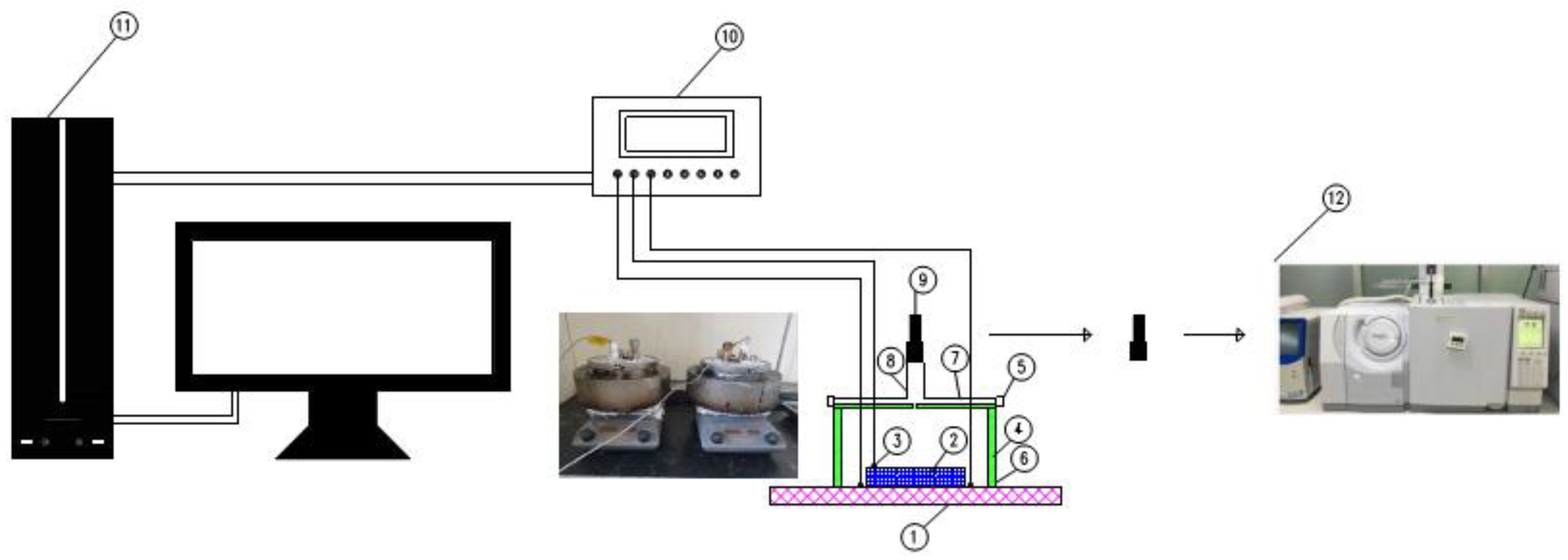 Forests 14 01062 g001 Forests 14 01062 g001