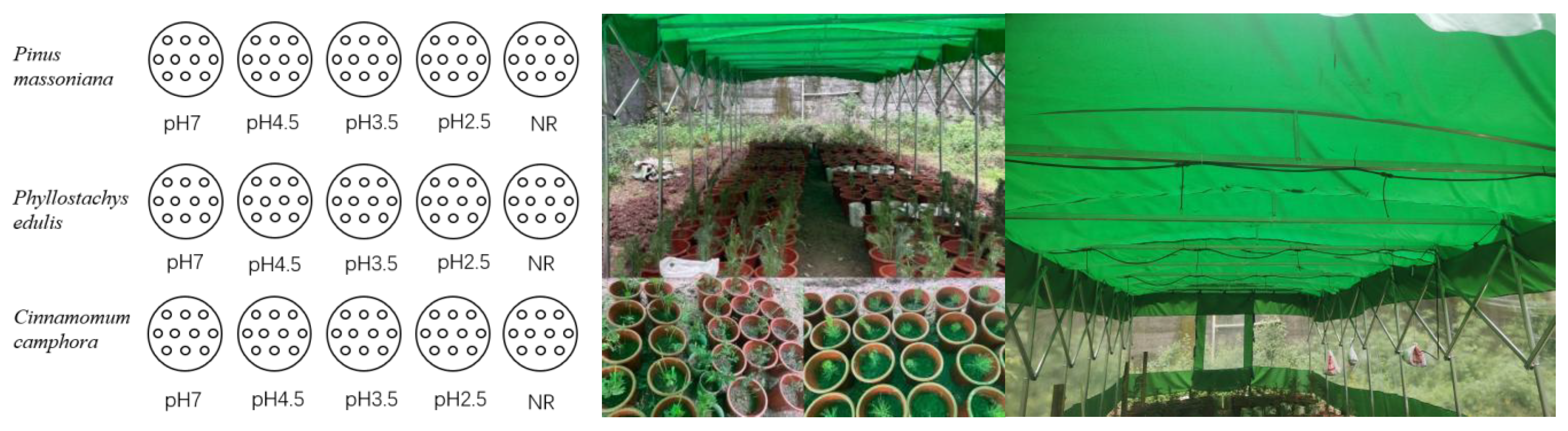 Forests 14 01067 g002