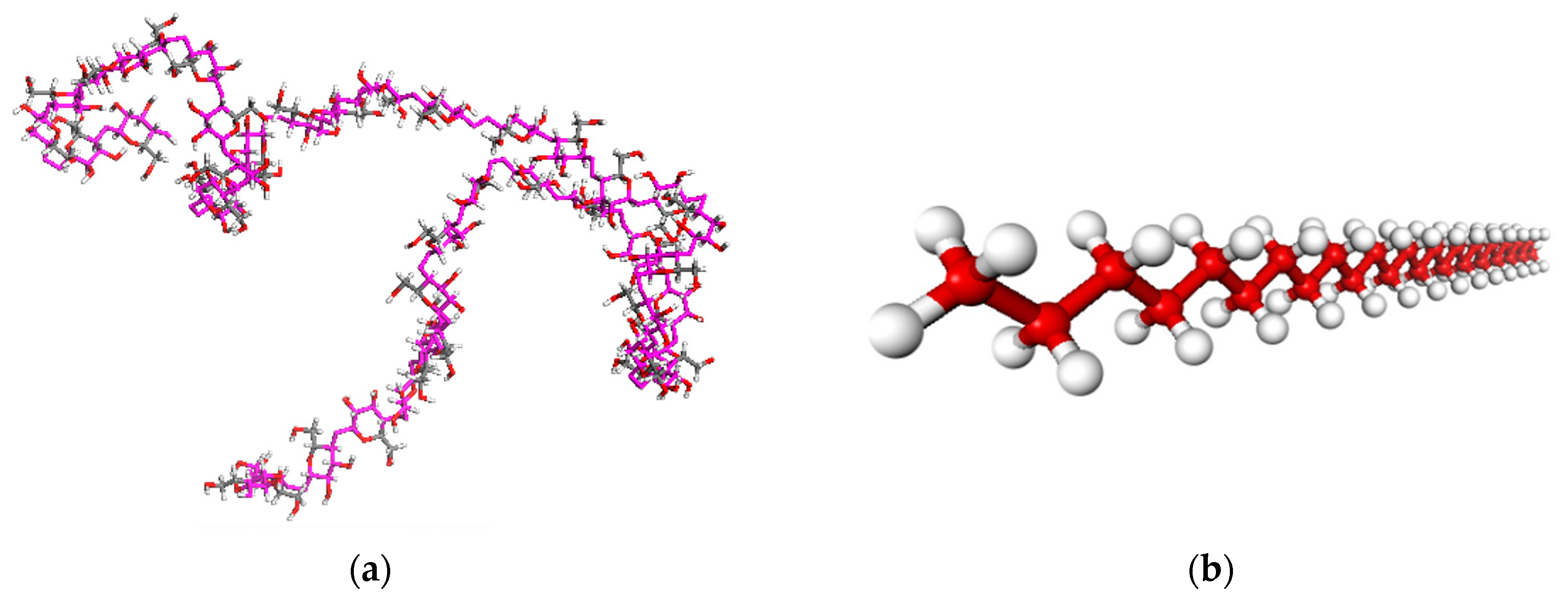Forests 14 01068 g001 Forests 14 01068 g001