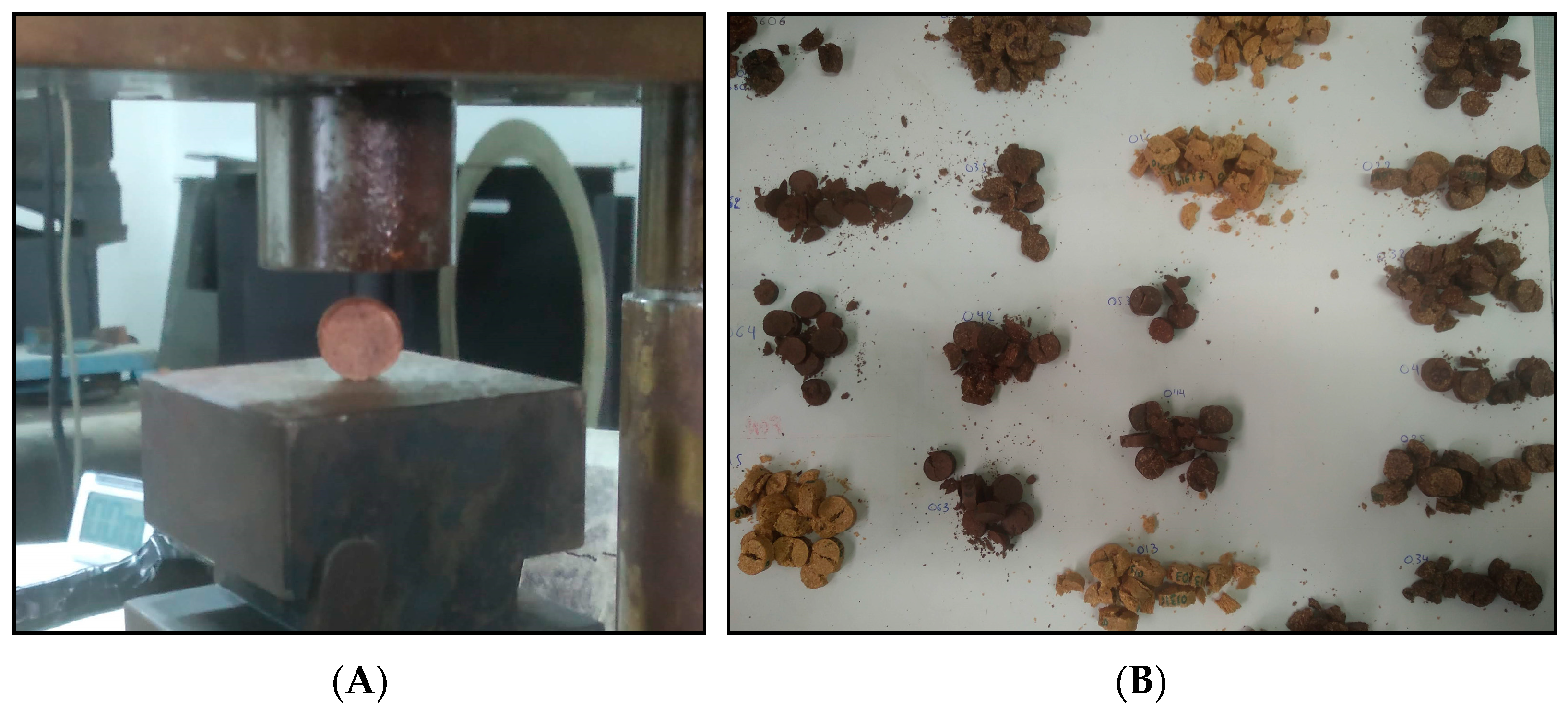 Forests 14 01069 g002