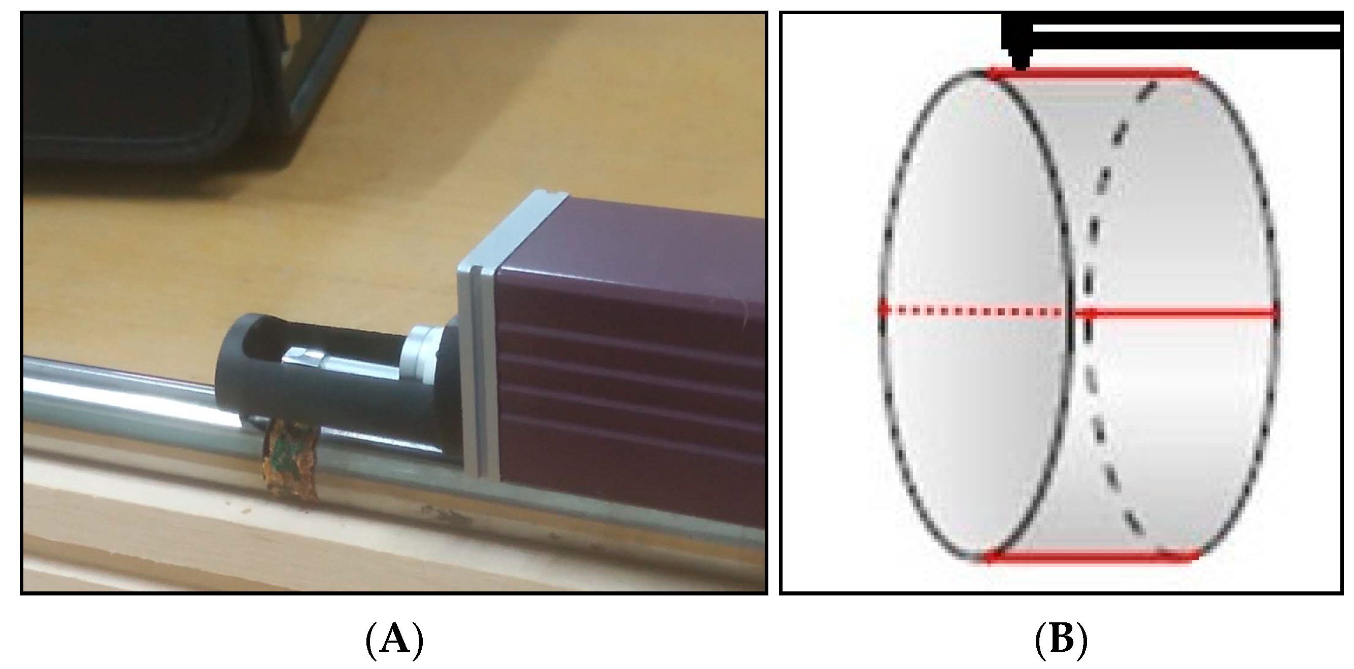 Forests 14 01069 g003