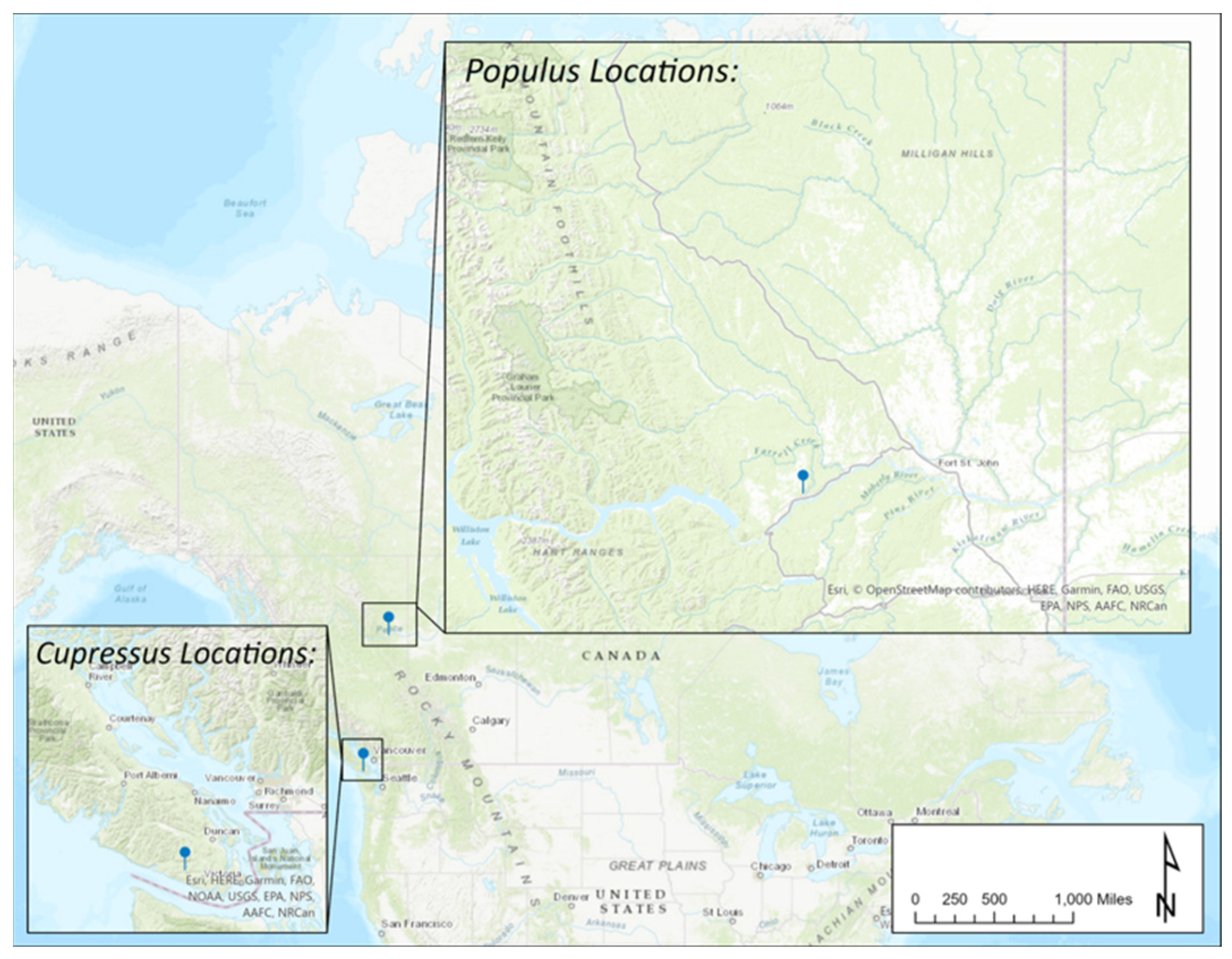 Forests 14 01070 g001