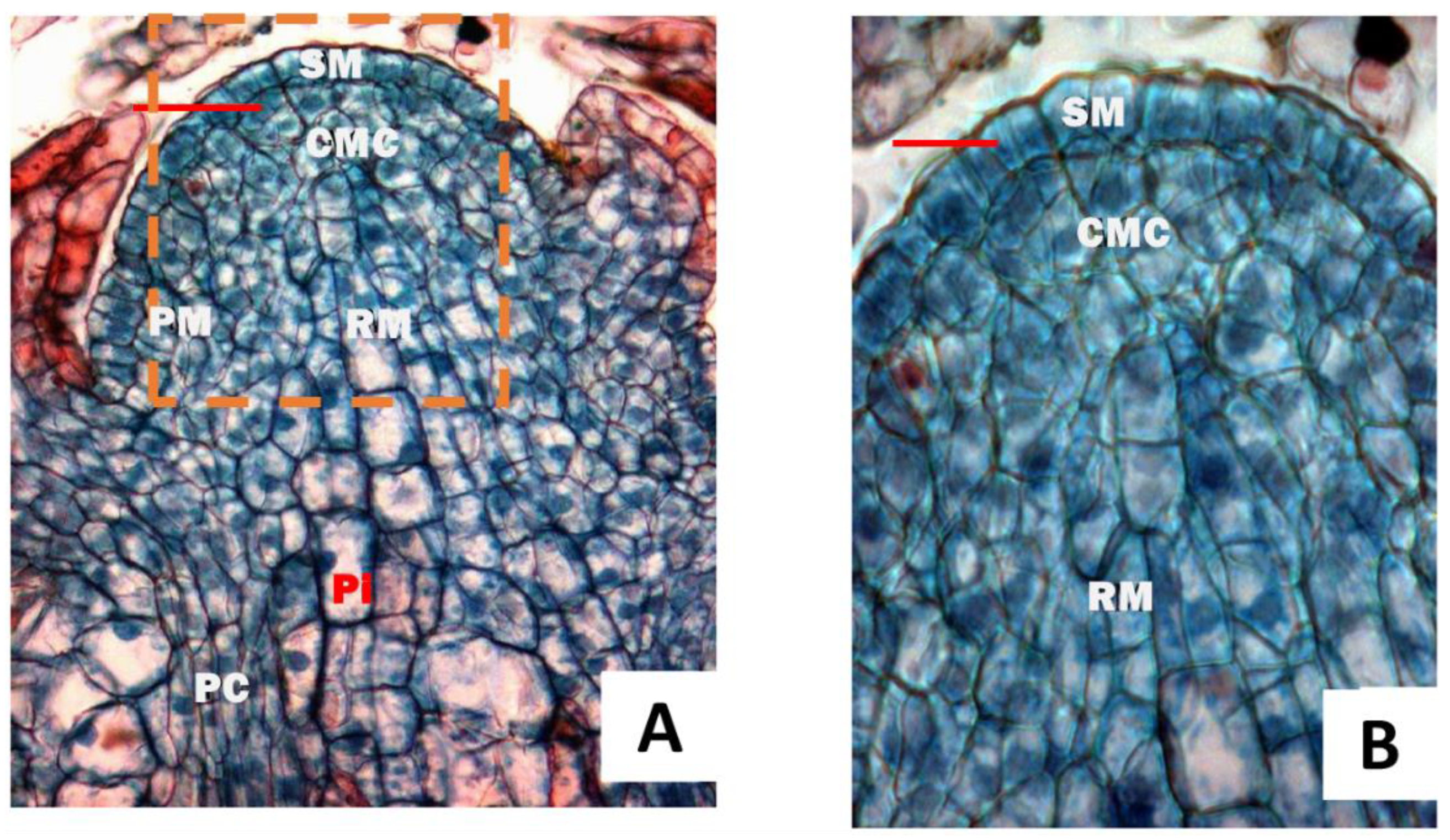 Forests 14 01071 g001 Forests 14 01071 g001