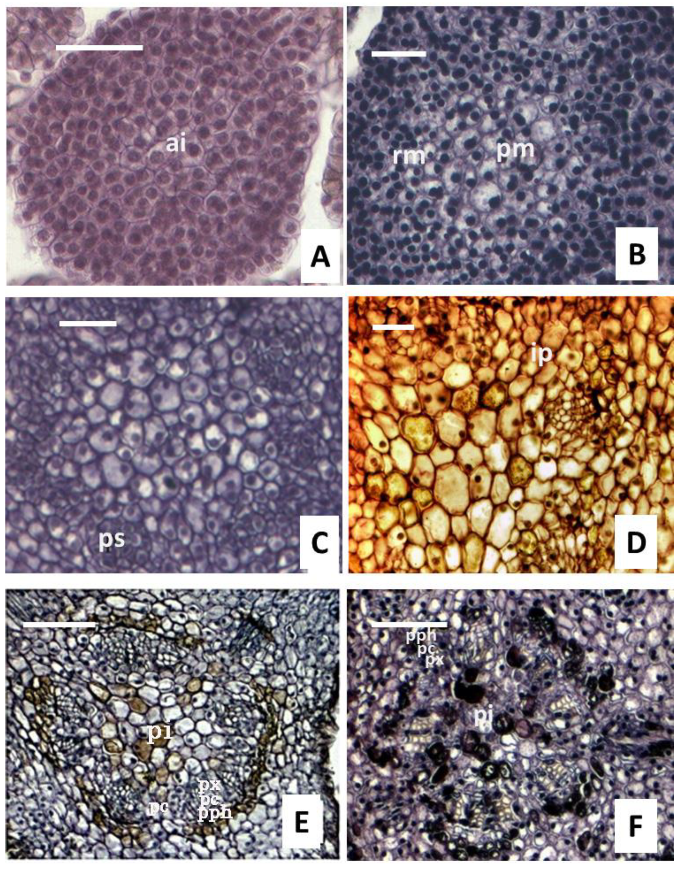 Forests 14 01071 g003 Forests 14 01071 g003