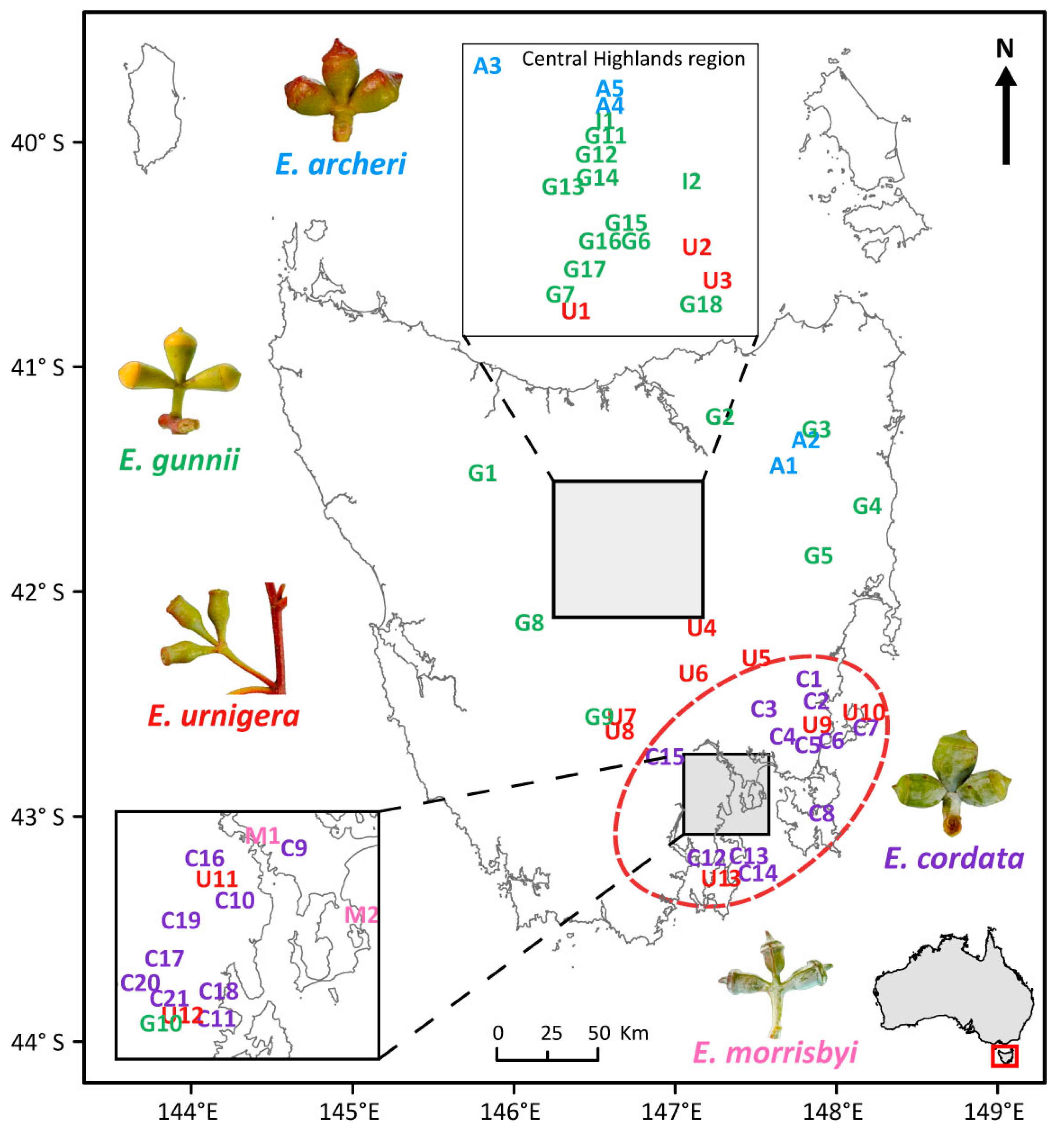 Forests 14 01072 g002