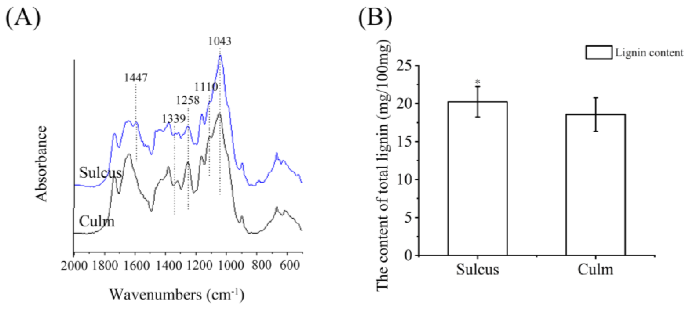 Forests 14 01073 g004 Forests 14 01073 g004