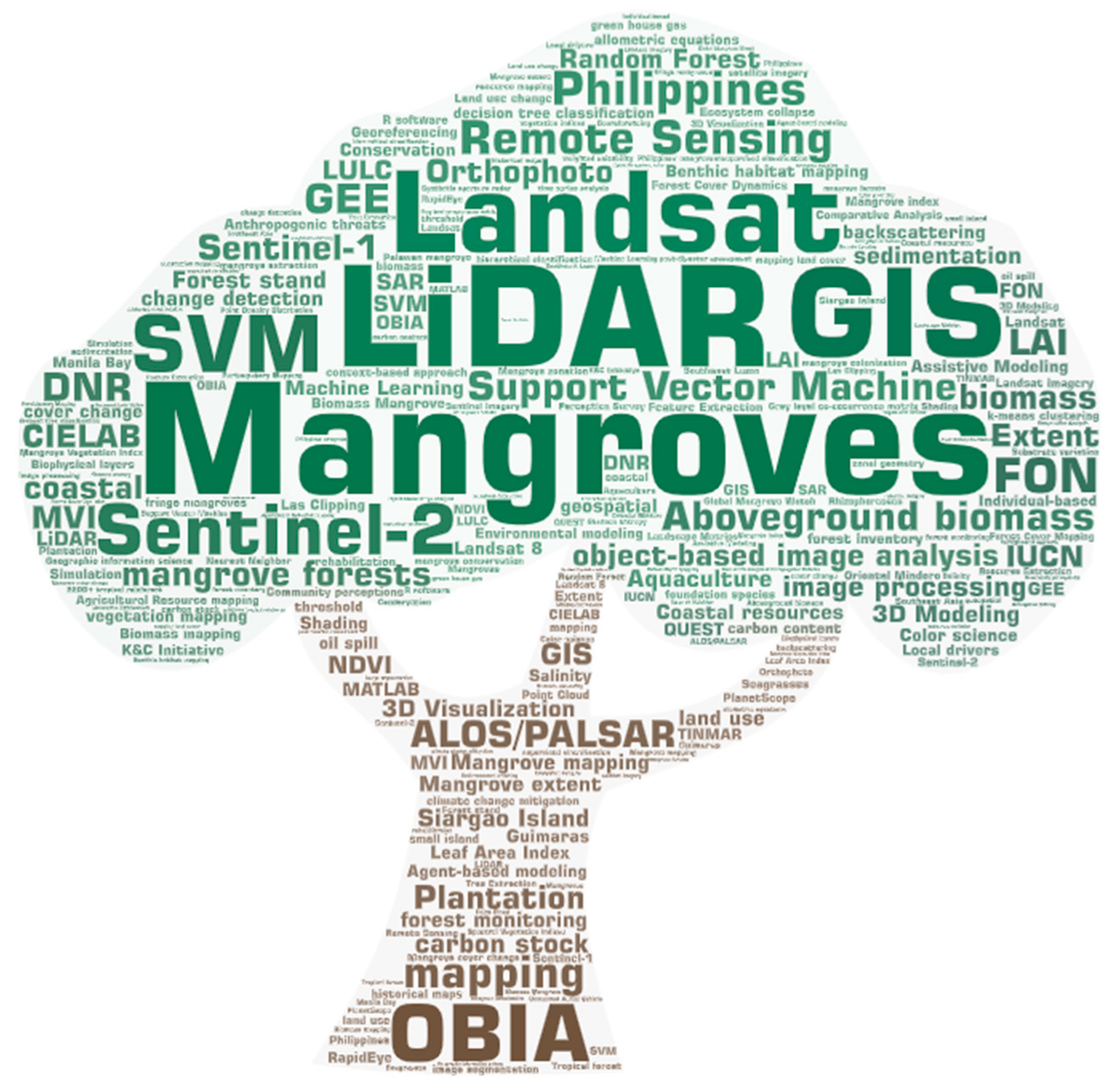 Forests 14 01080 g001