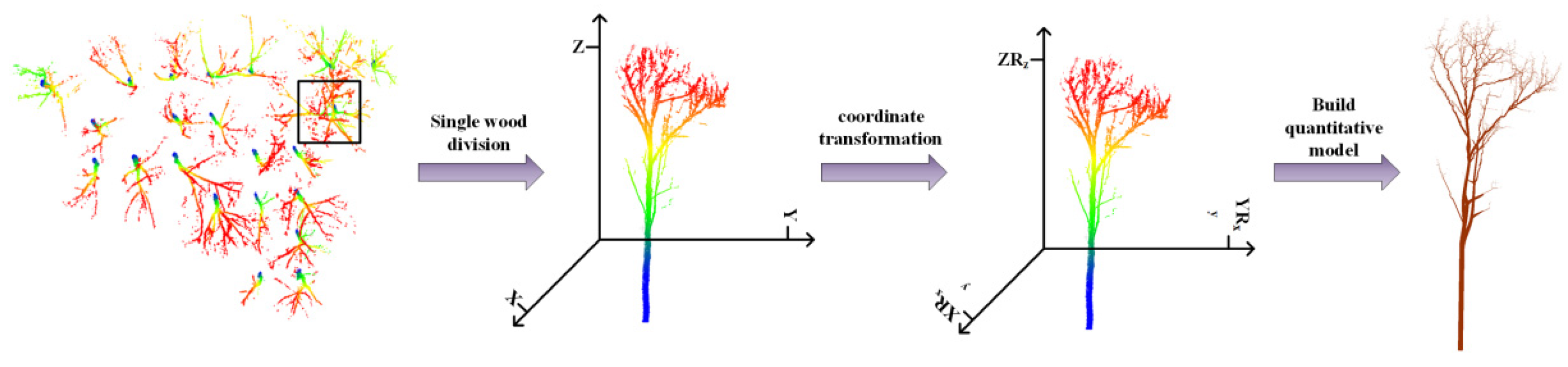 Forests 14 01081 g005 Forests 14 01081 g005