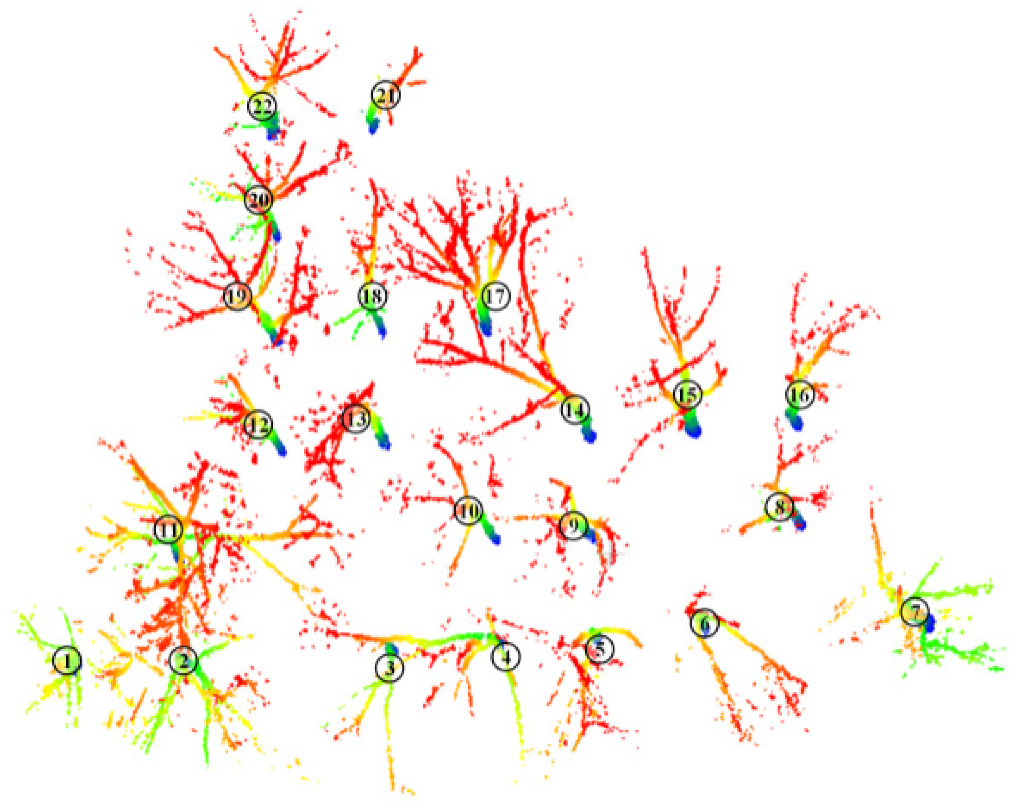 Forests 14 01081 g011 Forests 14 01081 g011