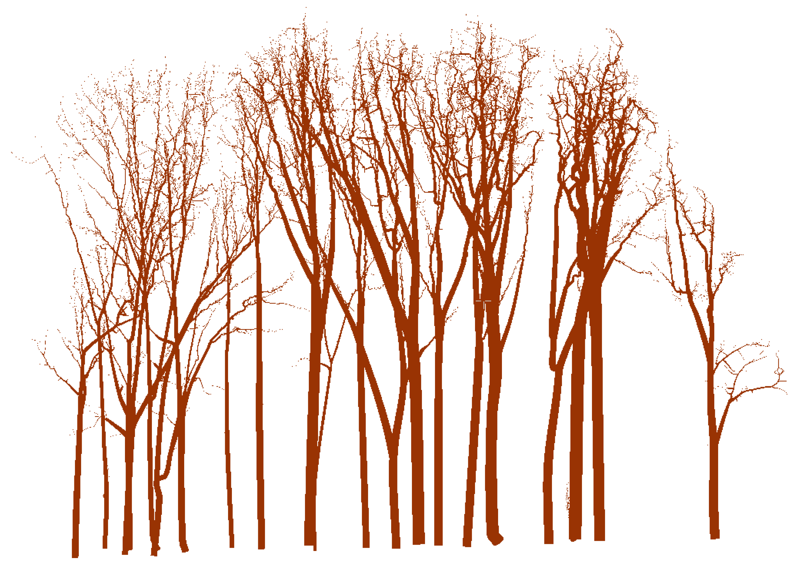 Forests 14 01081 g012 Forests 14 01081 g012