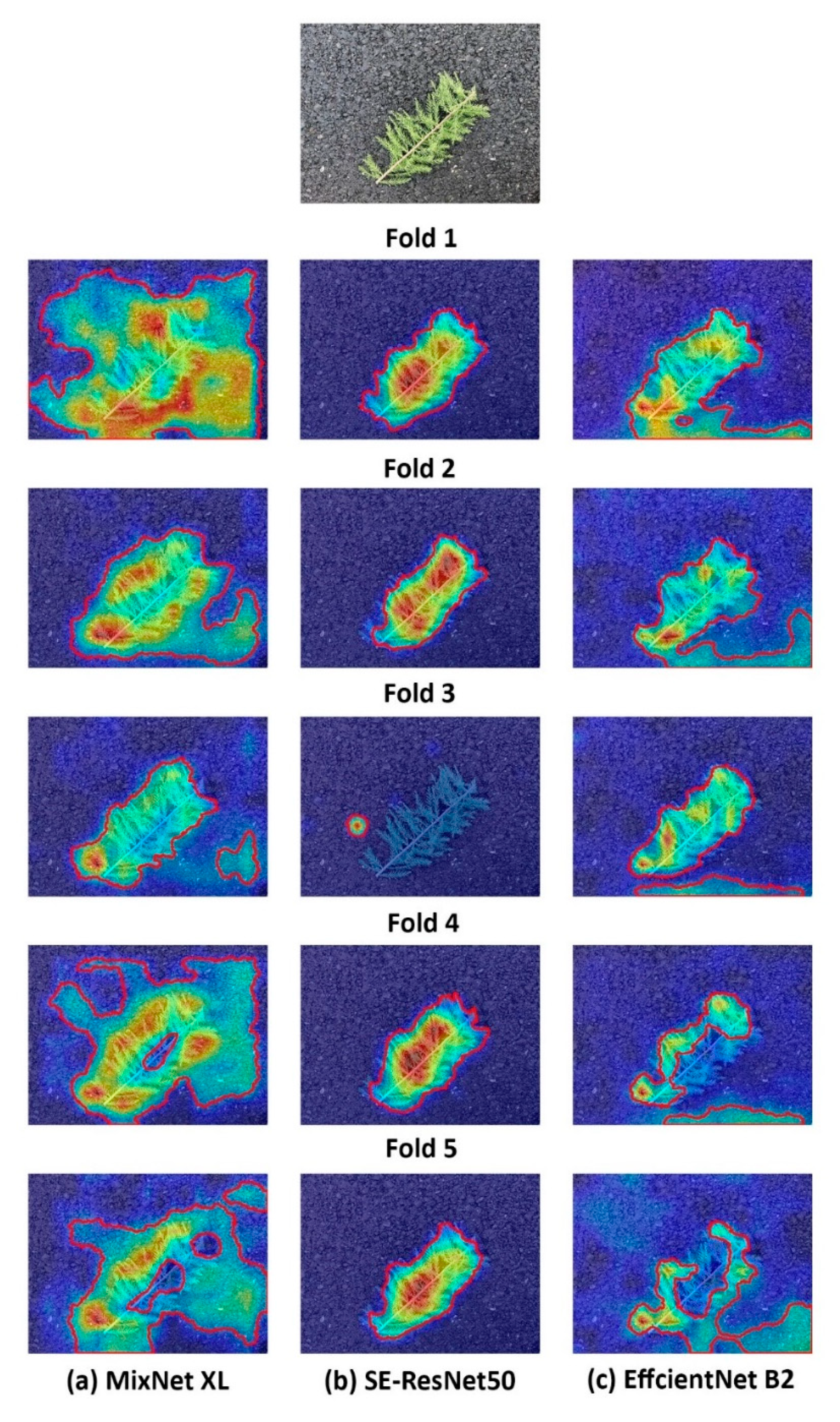 Forests 14 01083 g013 Forests 14 01083 g013