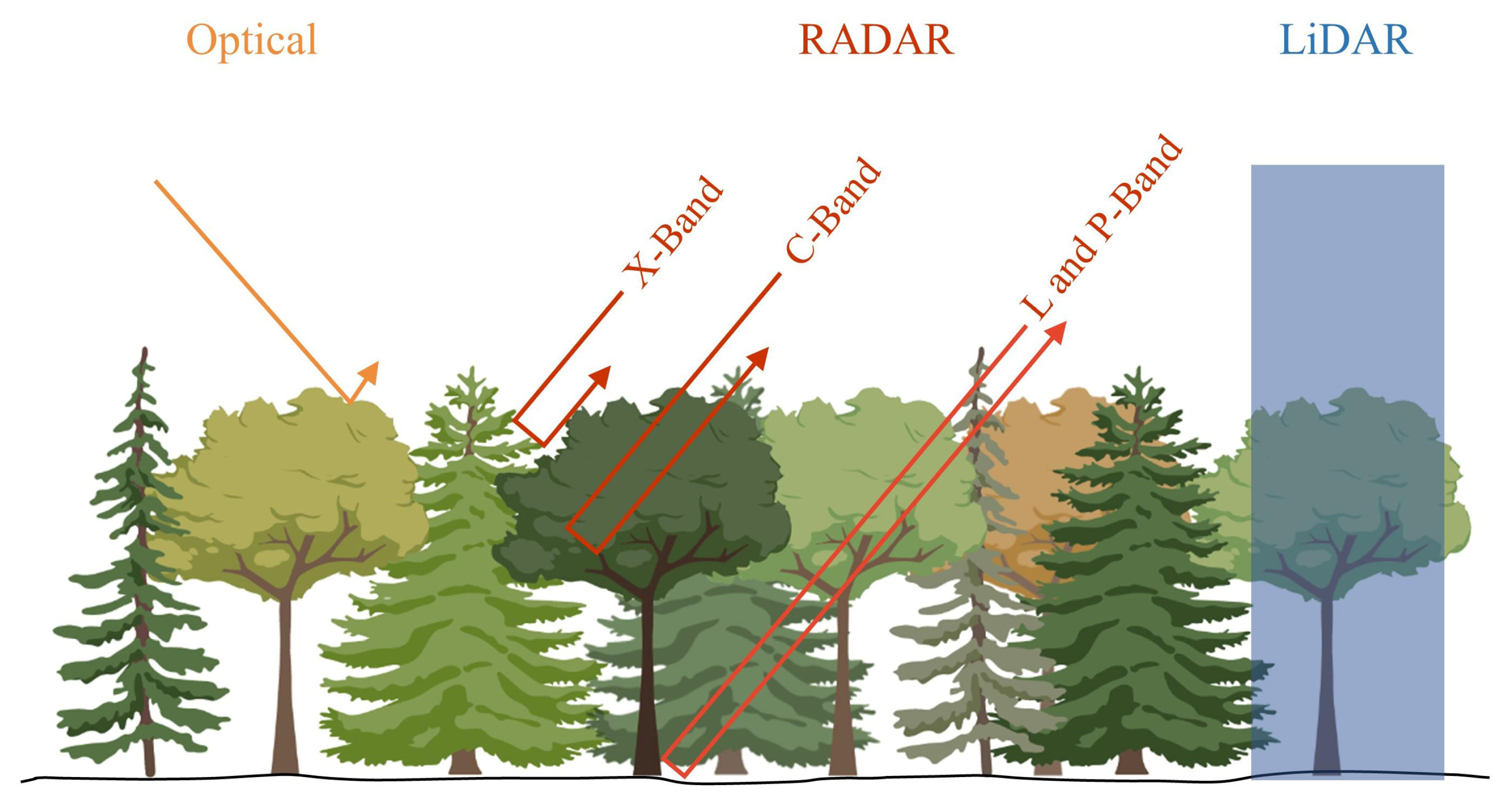 Forests 14 01086 g004 Forests 14 01086 g004