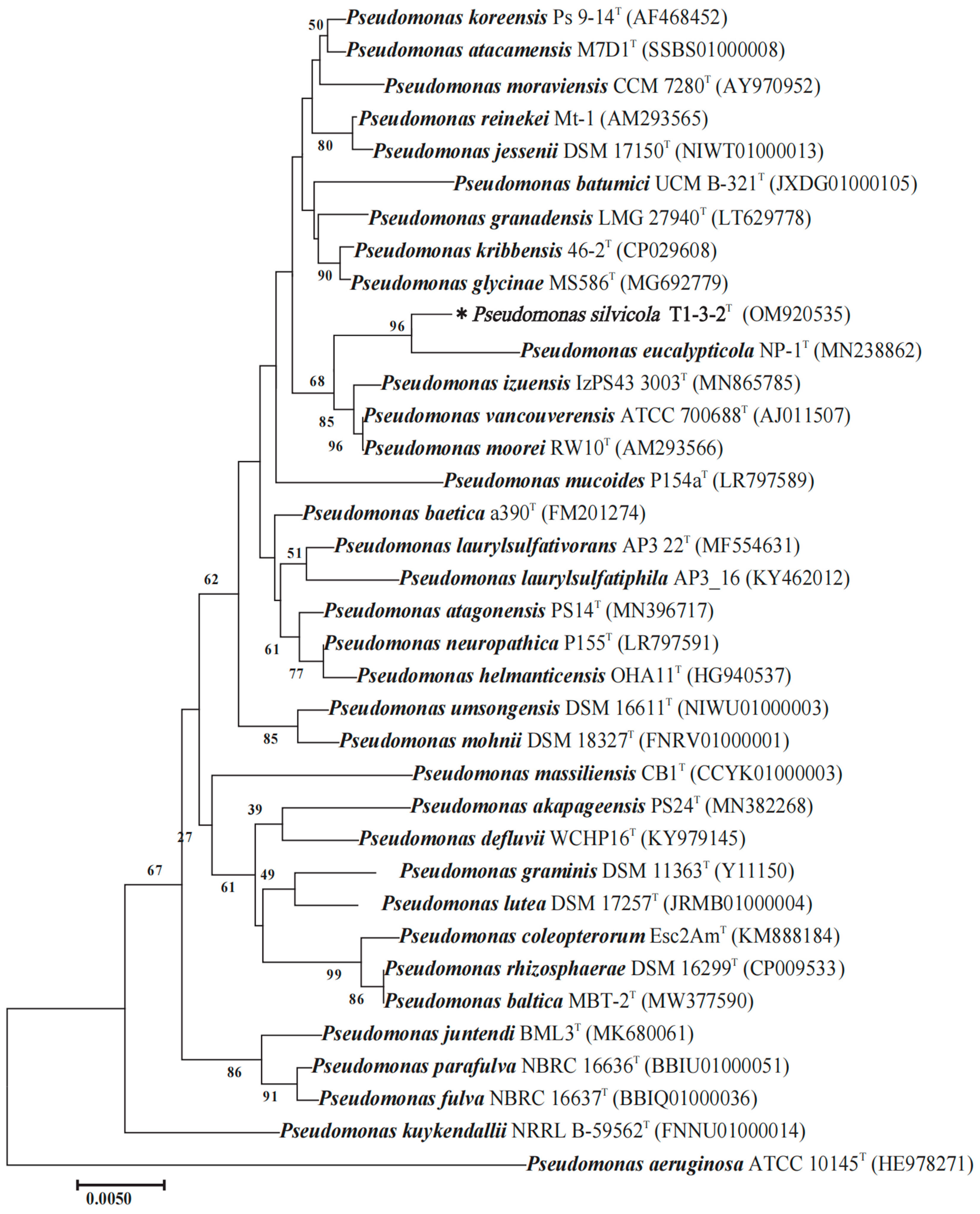 Forests 14 01089 g001 Forests 14 01089 g001