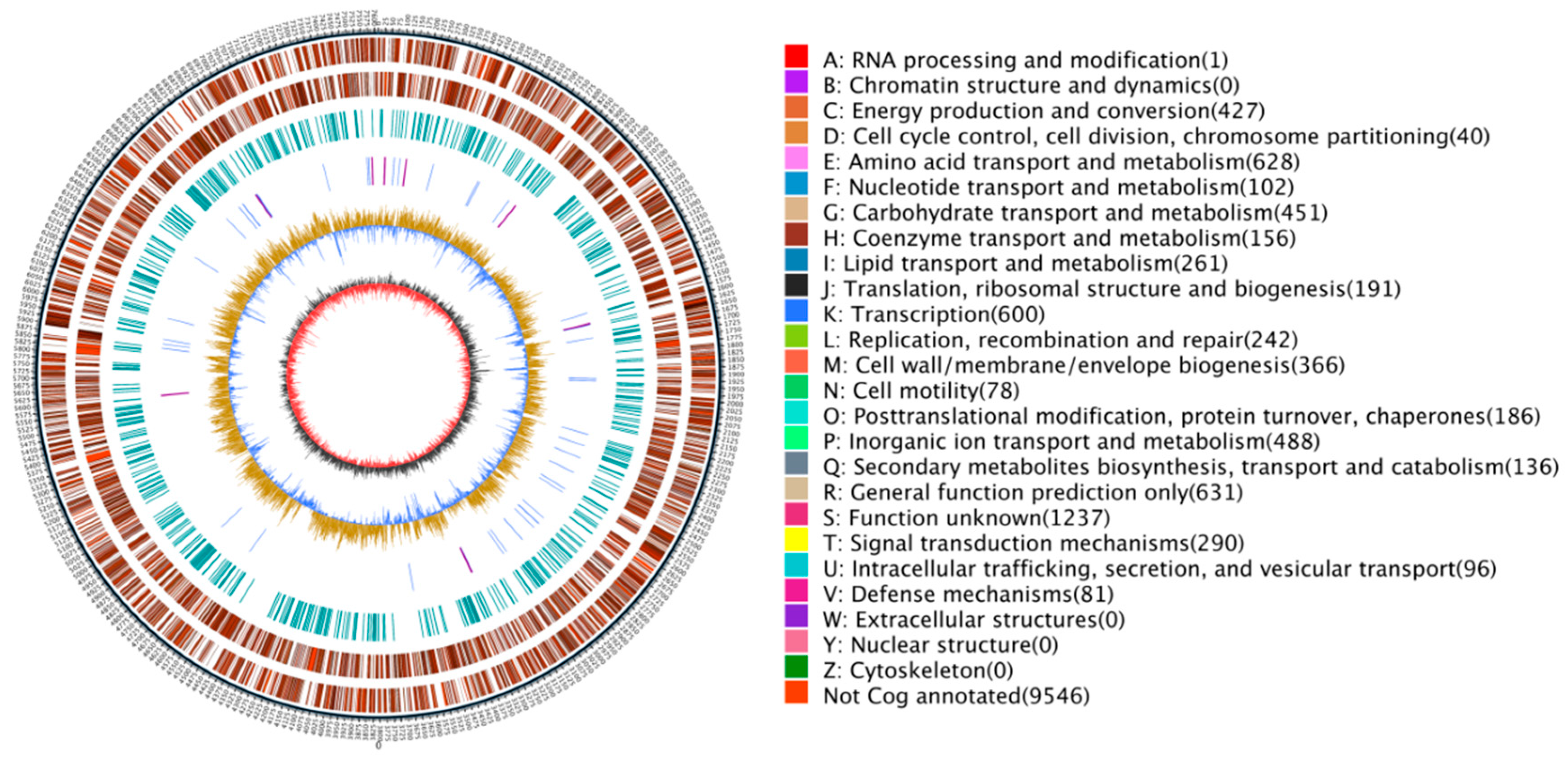 Forests 14 01089 g004 Forests 14 01089 g004