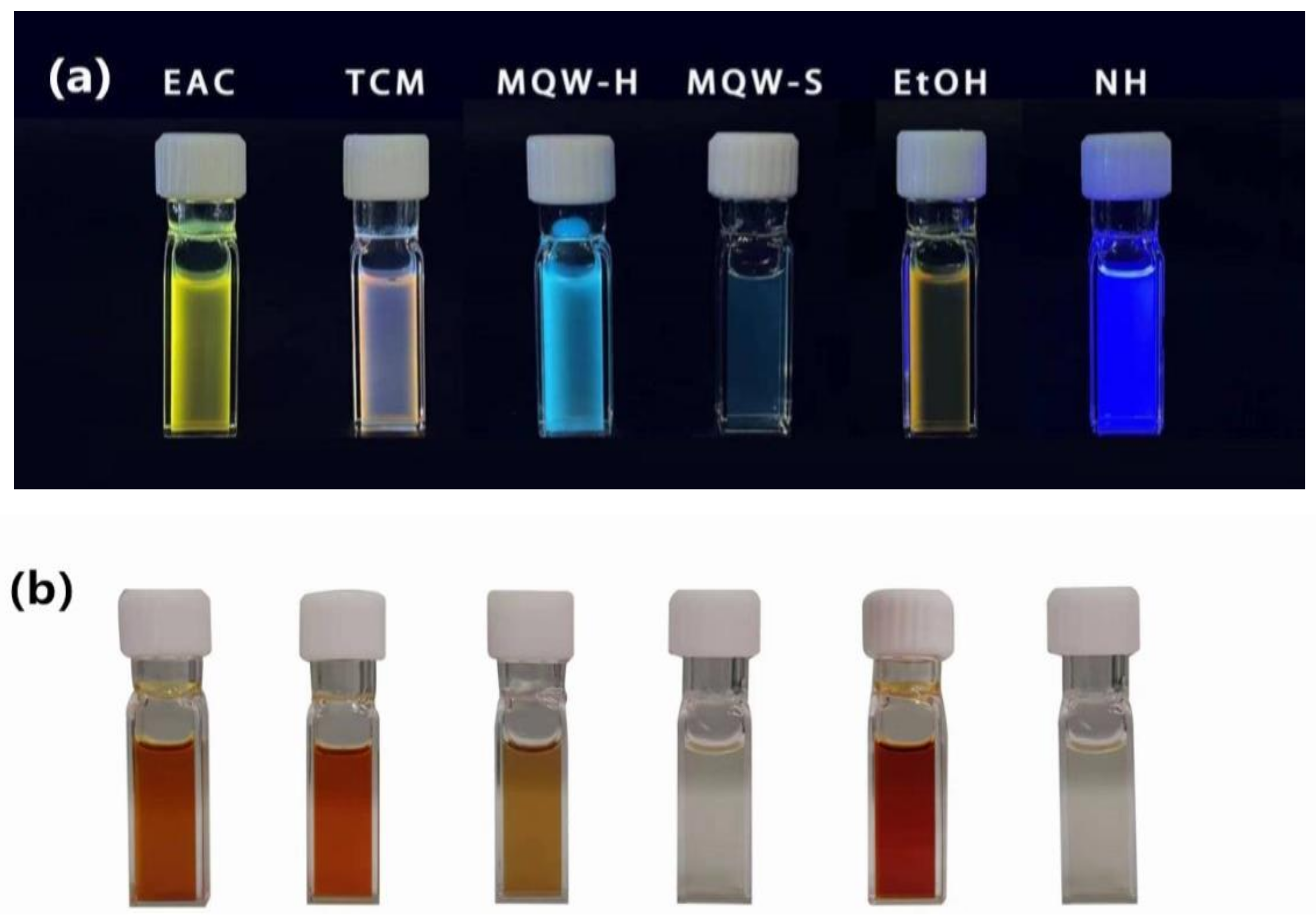 Forests 14 01094 g001