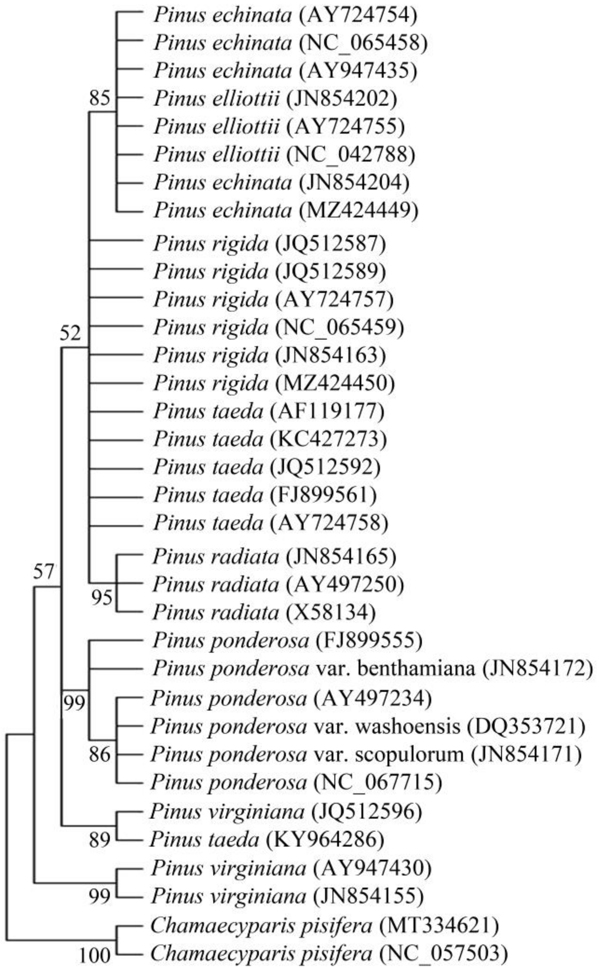 Forests 14 01095 g001 Forests 14 01095 g001