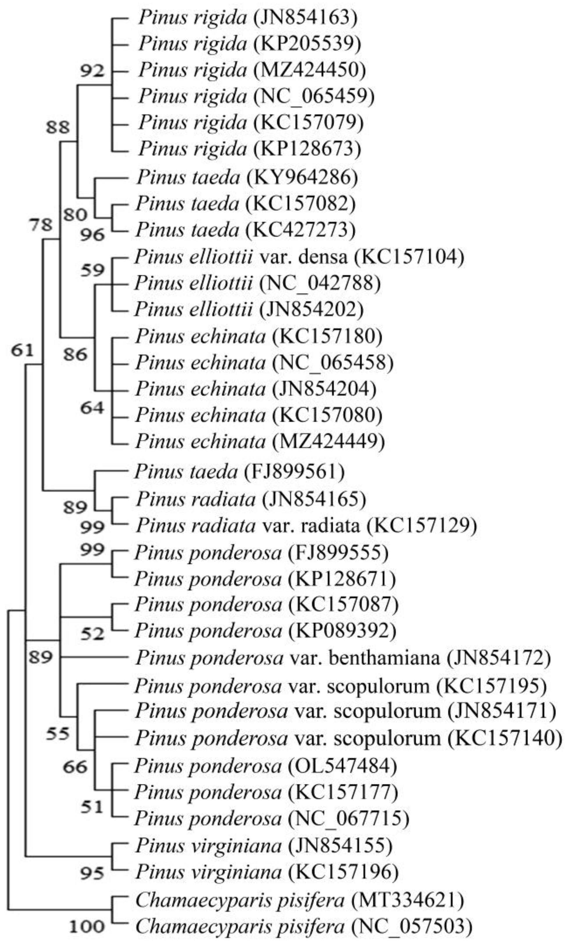Forests 14 01095 g002 Forests 14 01095 g002