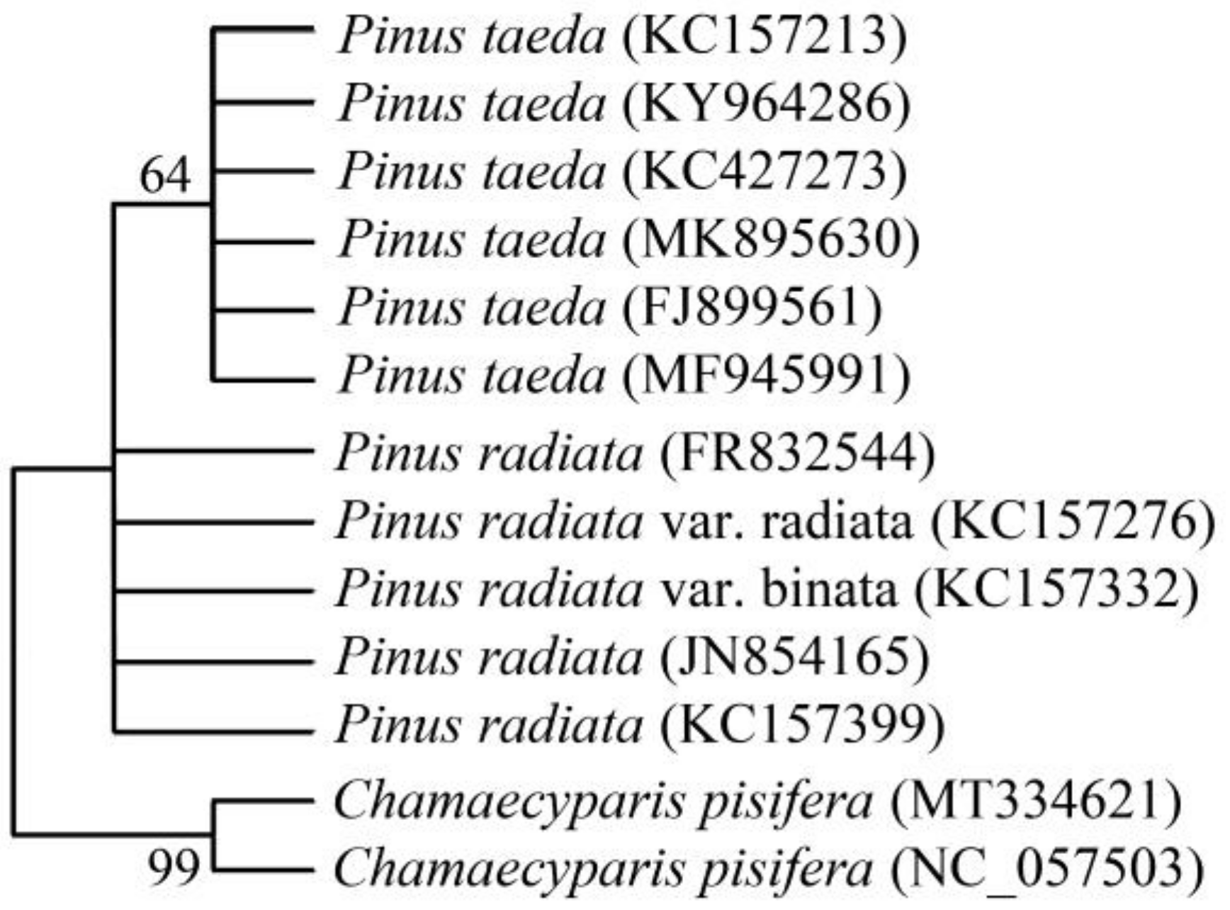 Forests 14 01095 g003 Forests 14 01095 g003