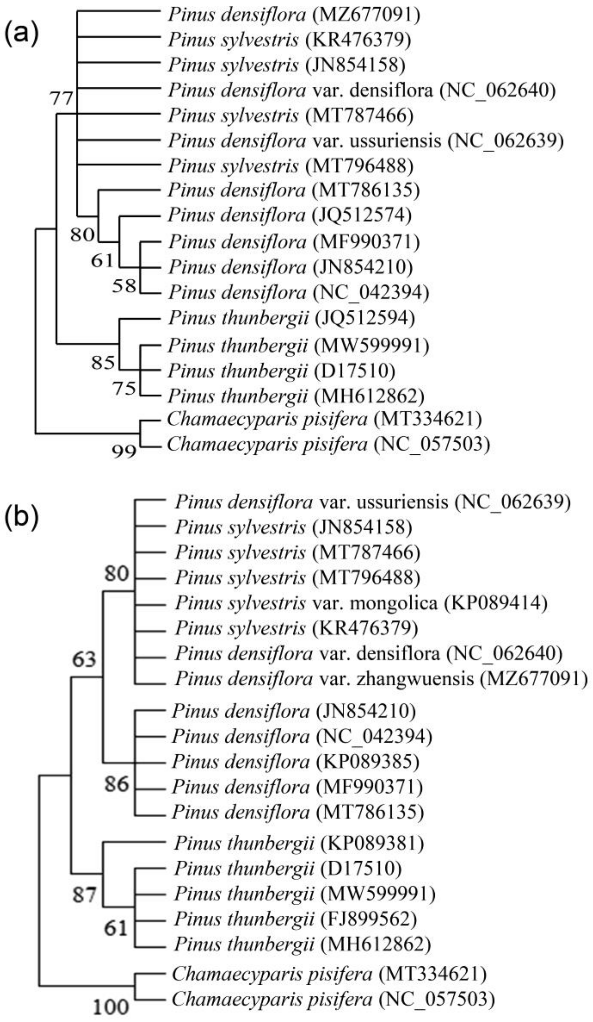 Forests 14 01095 g004 Forests 14 01095 g004