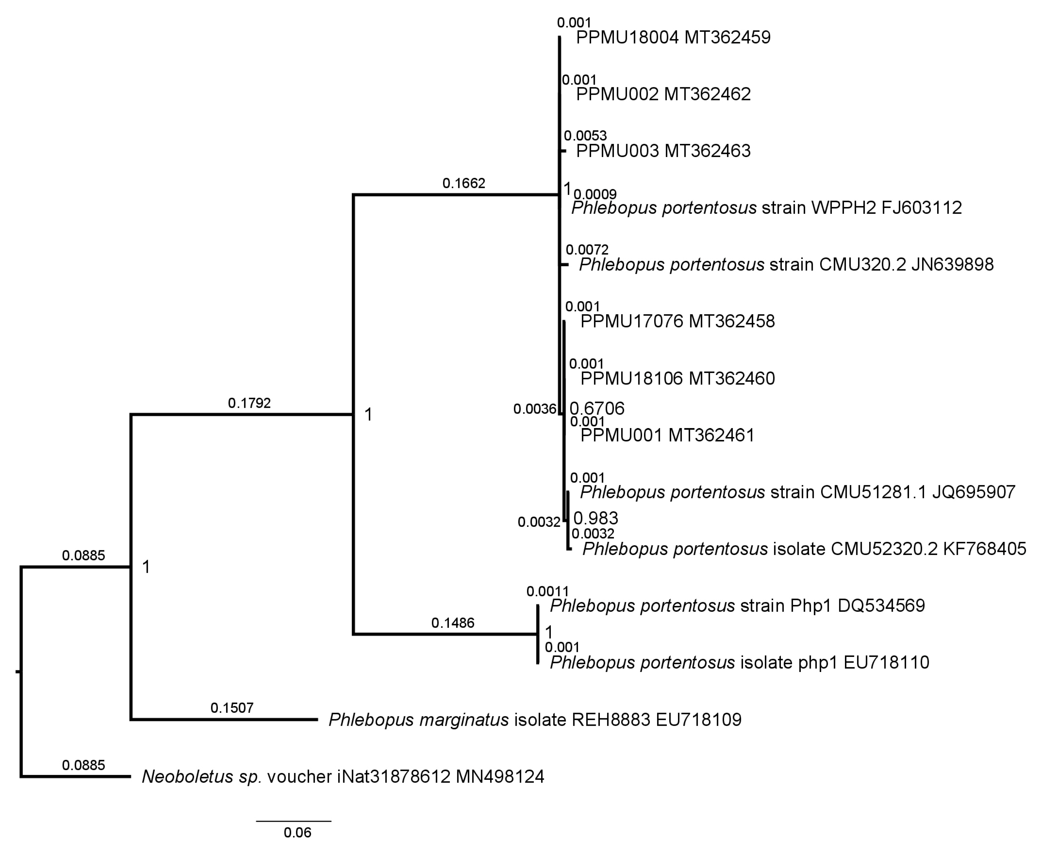 Forests 14 01096 g012 Forests 14 01096 g012