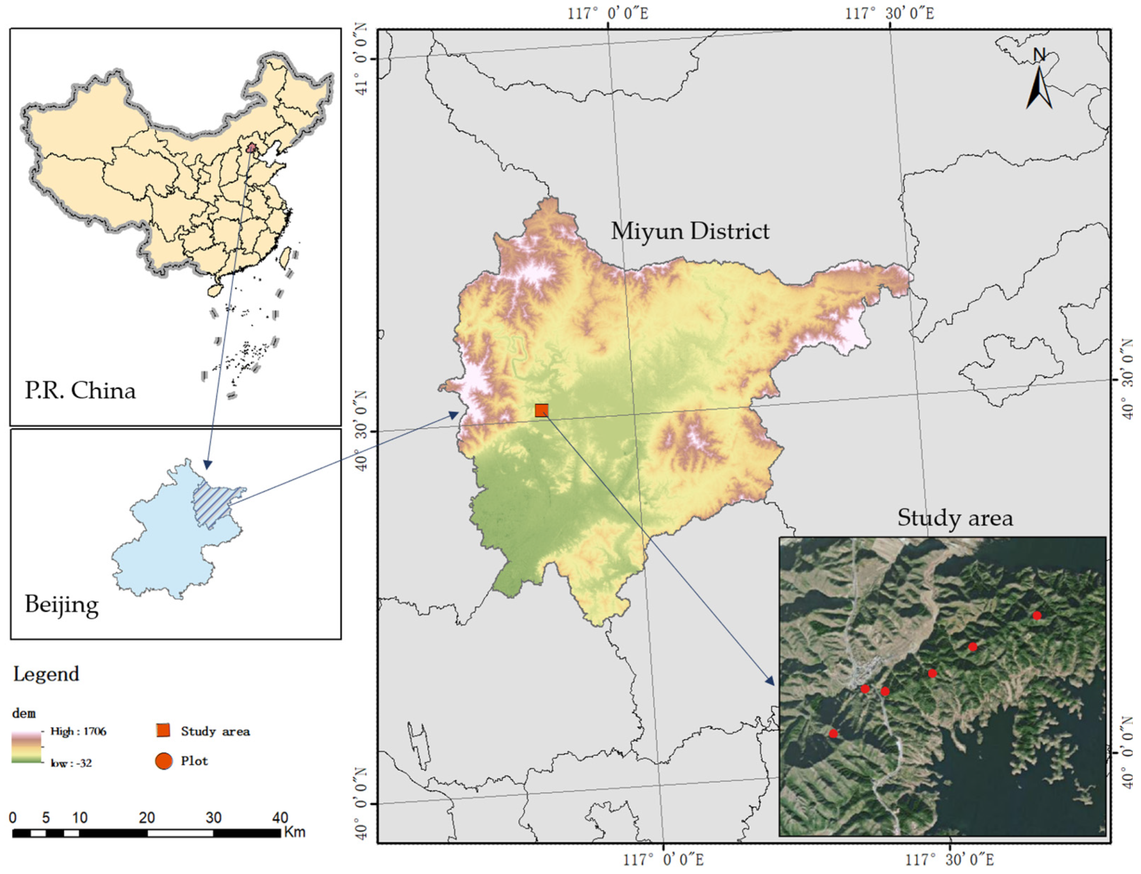 Forests 14 01097 g001 Forests 14 01097 g001