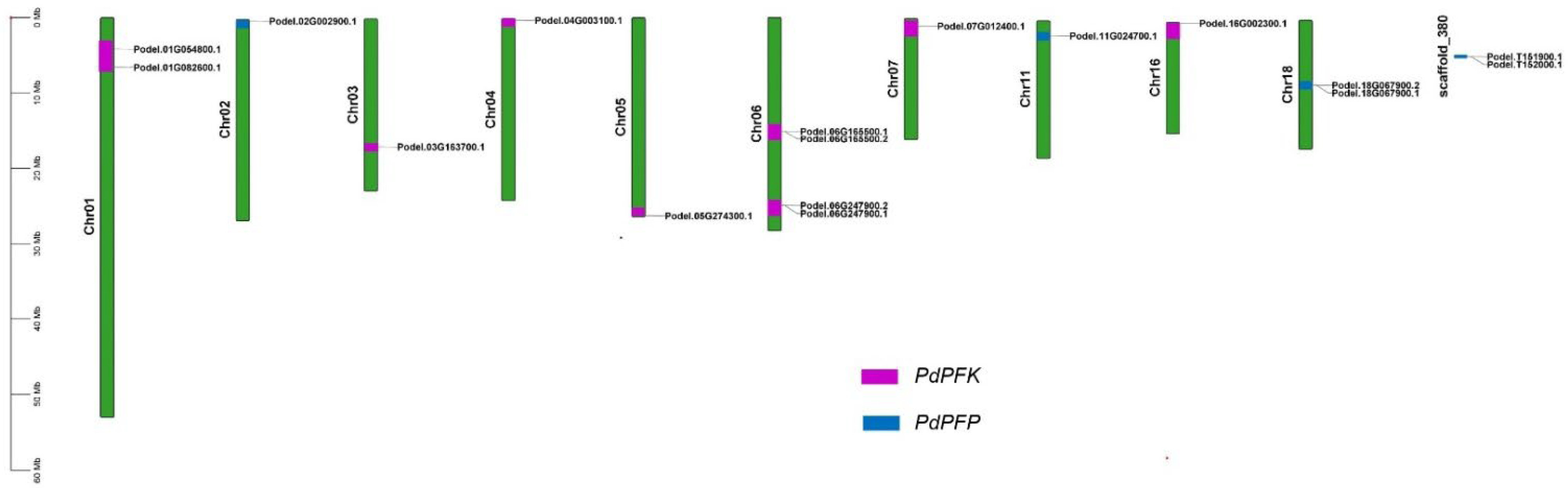 Forests 14 01104 g002