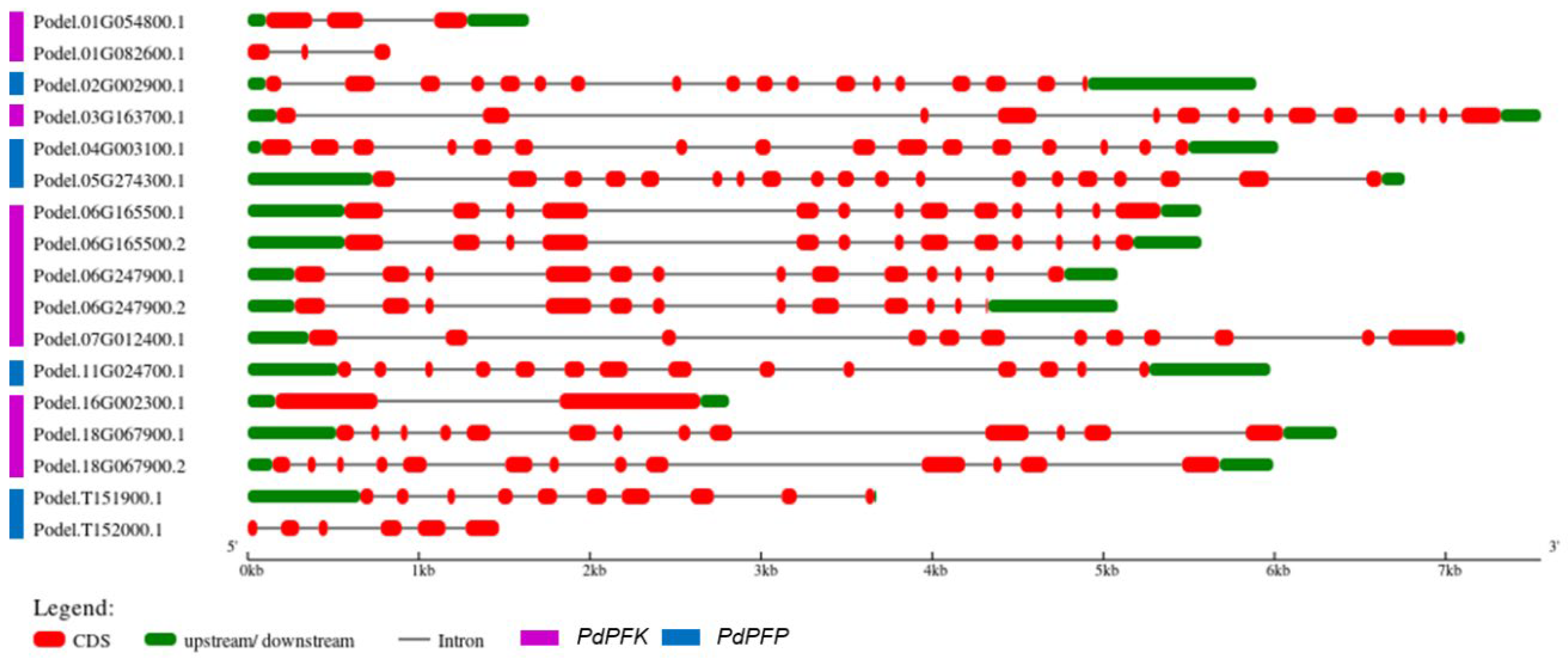 Forests 14 01104 g004