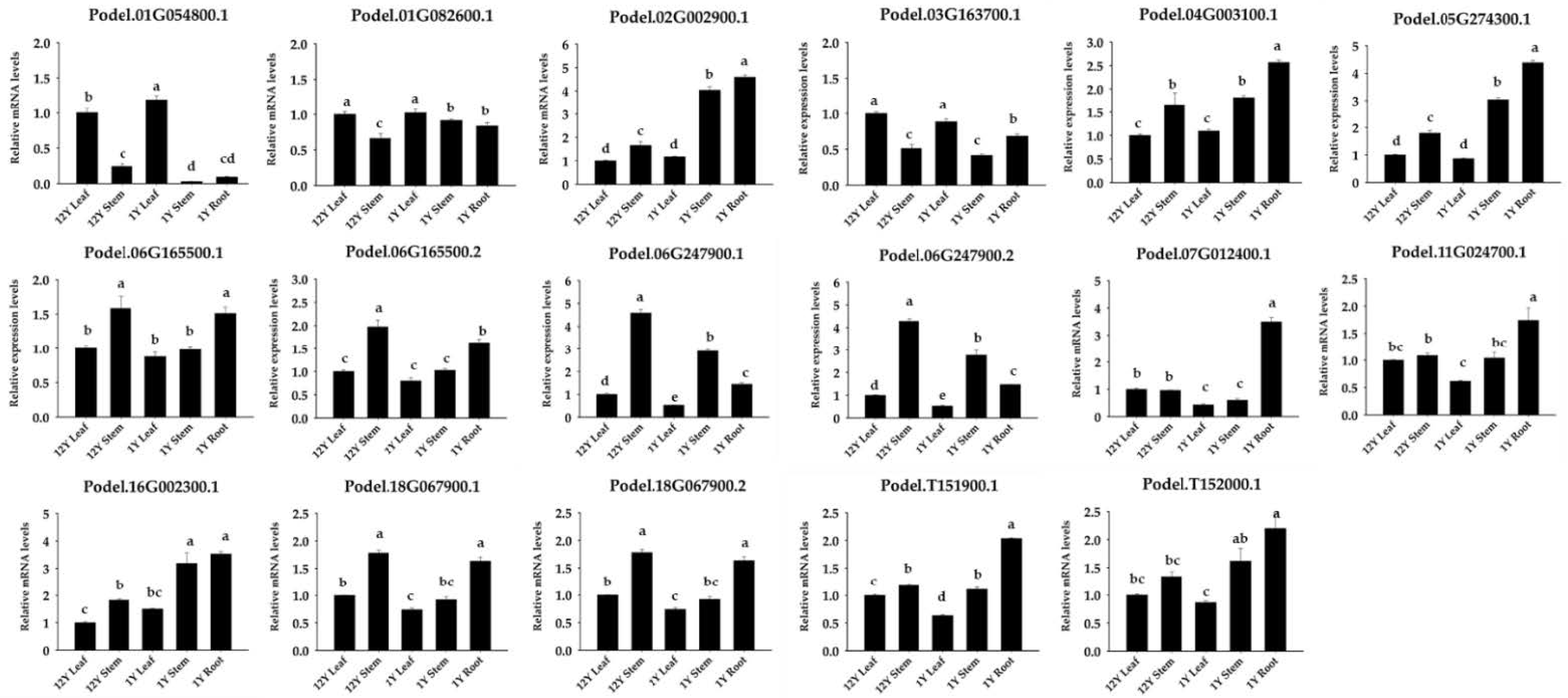 Forests 14 01104 g008