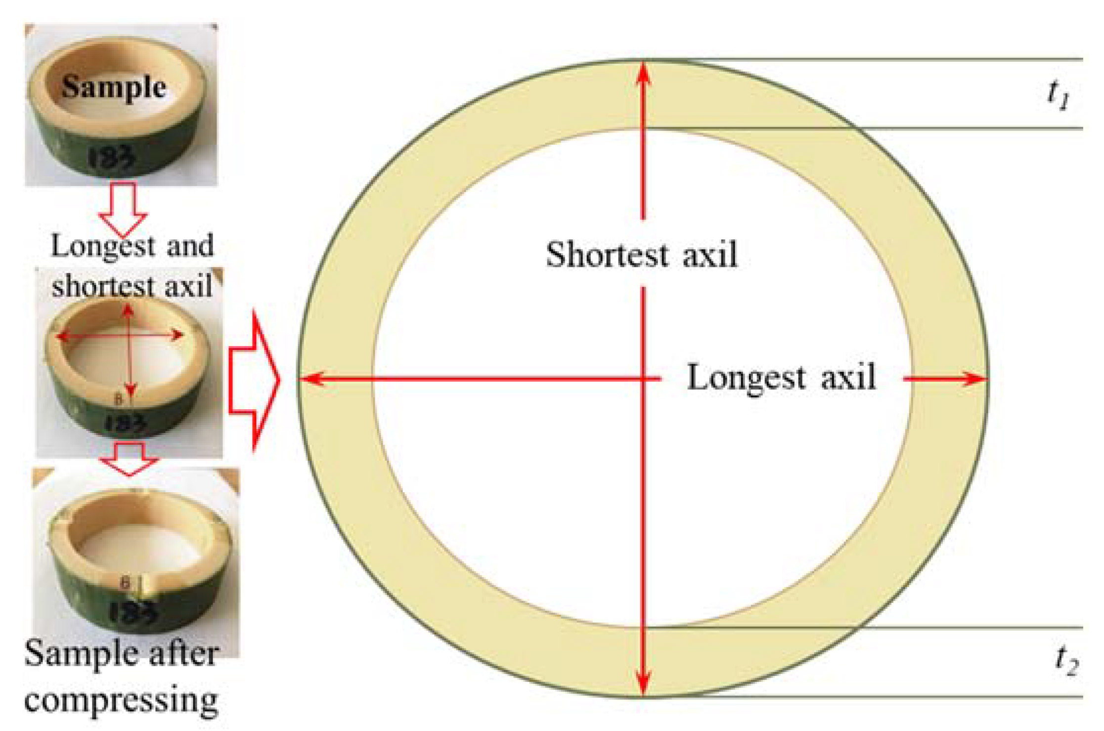 Forests 14 01120 g002