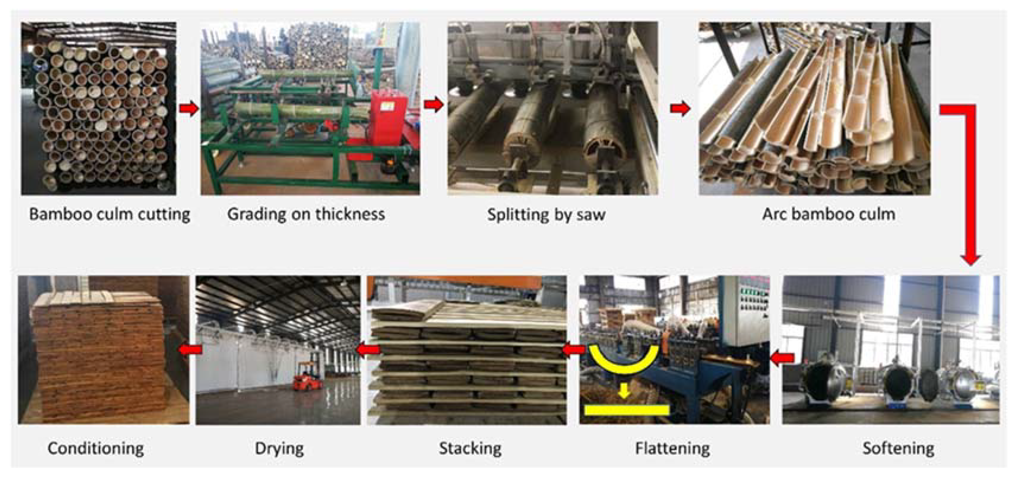 Forests 14 01120 g003