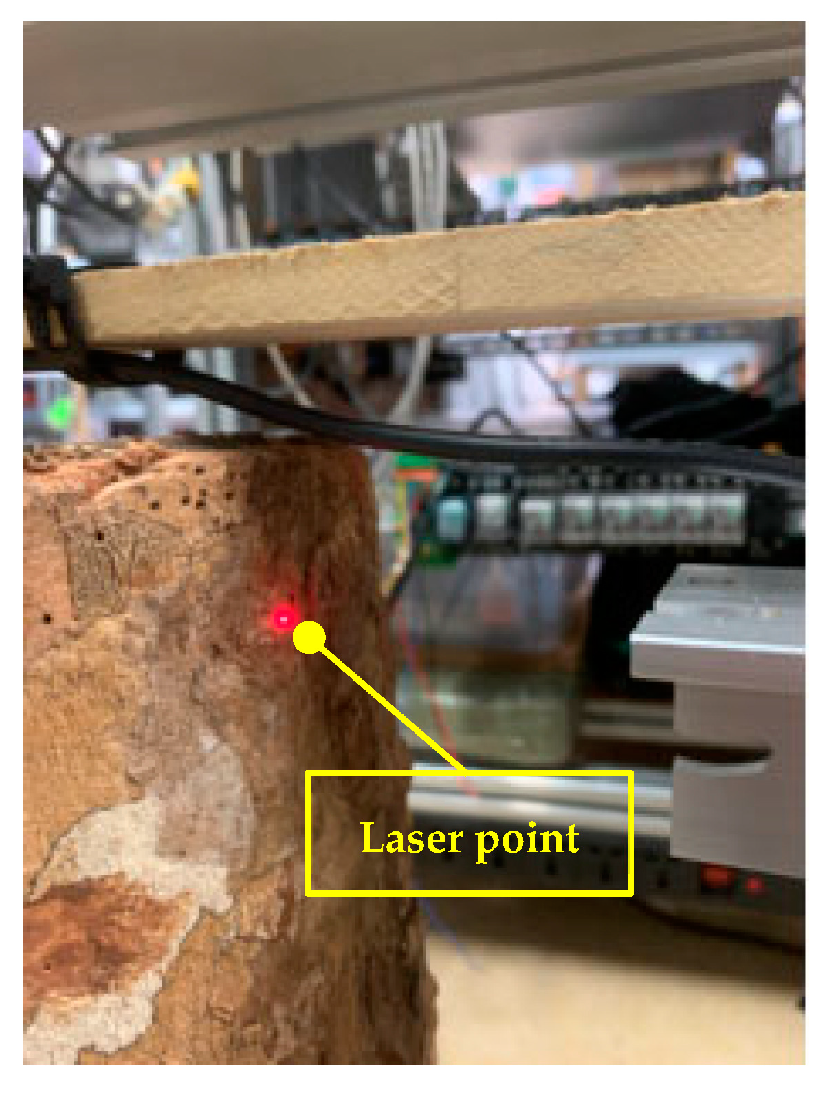 Forests 14 01122 g011 Forests 14 01122 g011