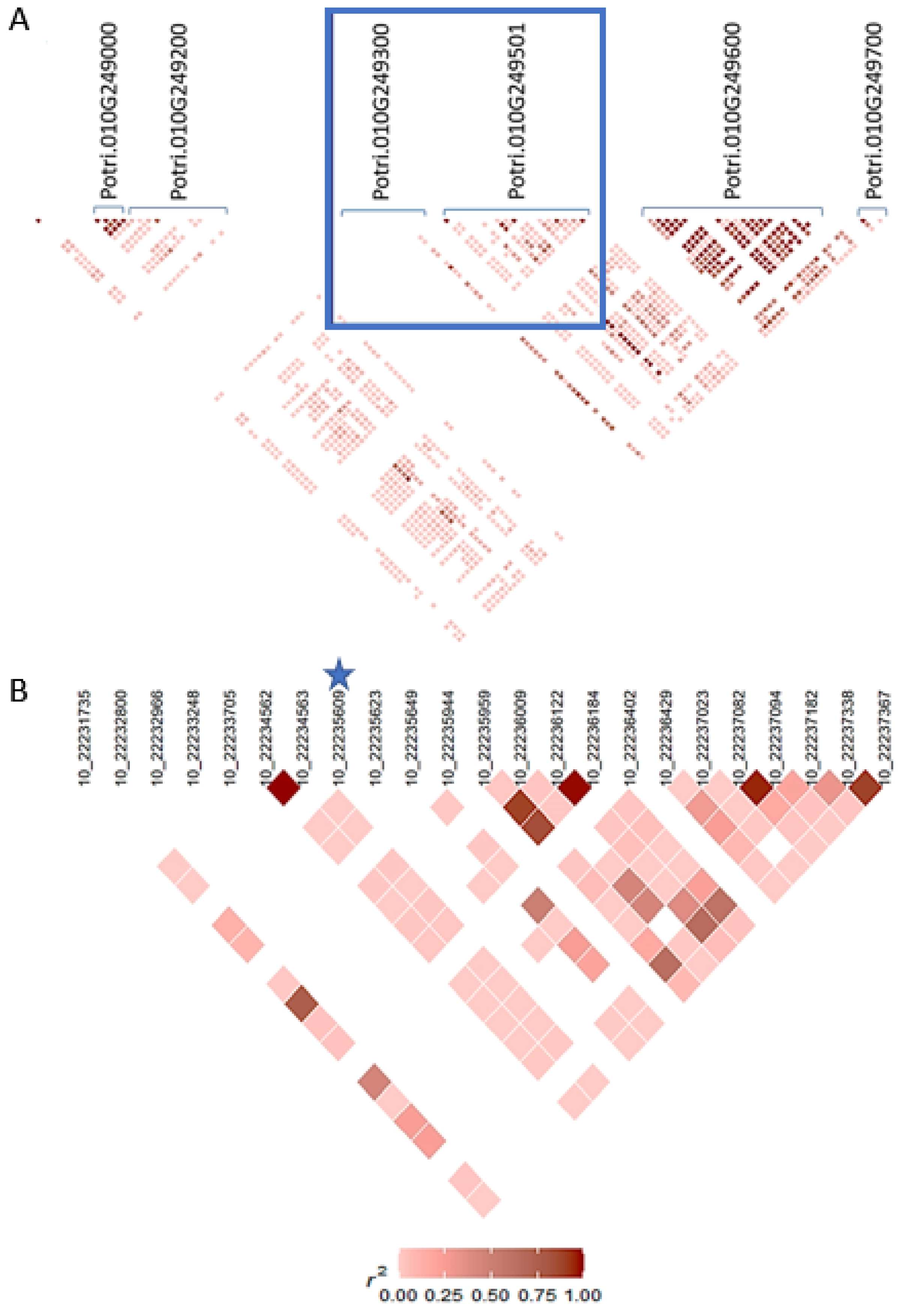 Forests 14 01129 g003