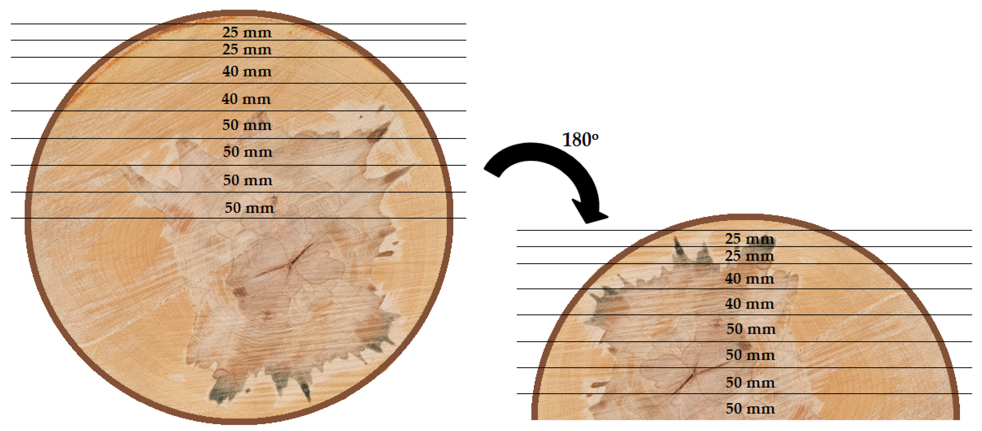 Forests 14 01137 g002 Forests 14 01137 g002